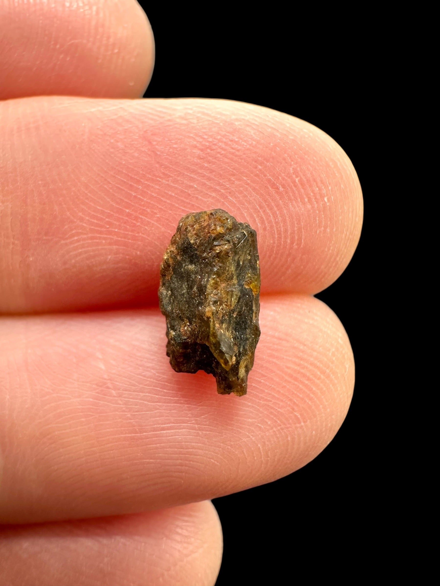 Meteorite NWA 7831 – 0,2g – Western Sahara - MENWA30