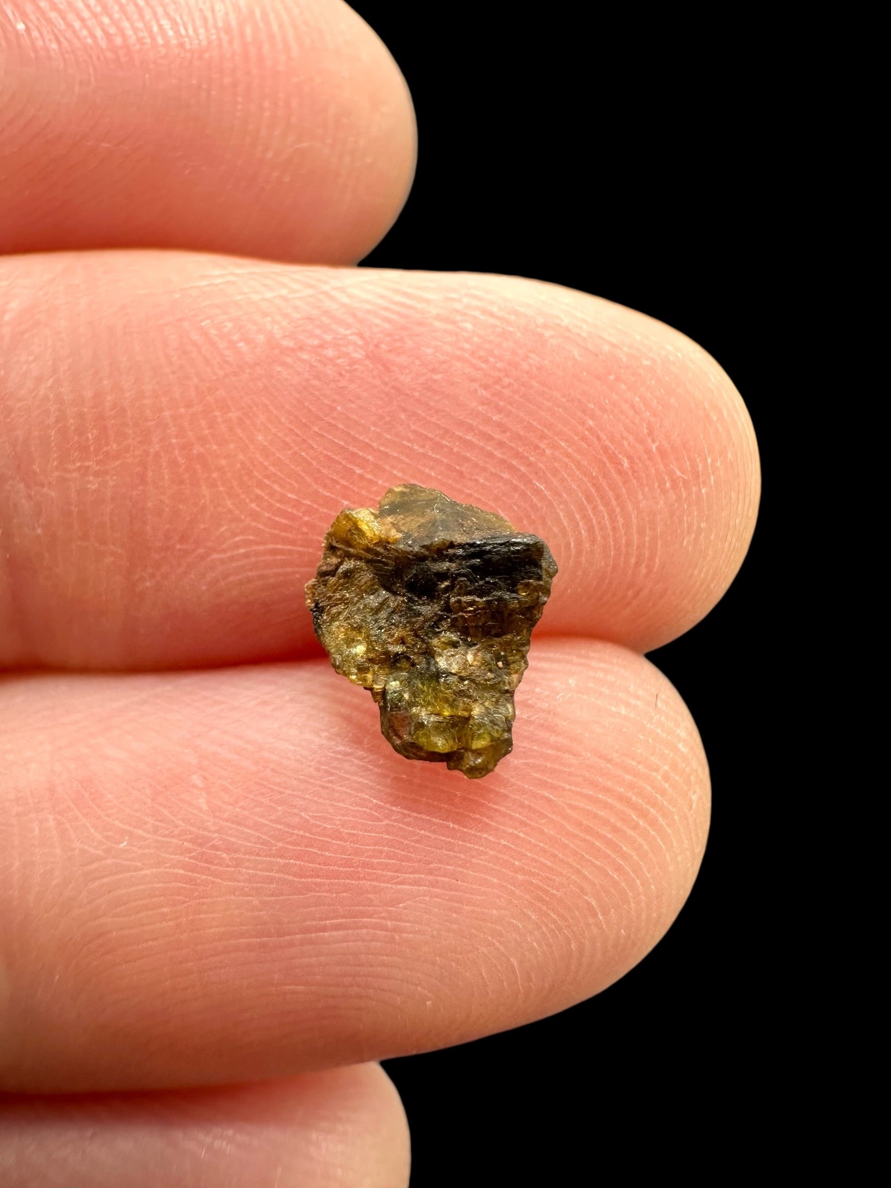 Meteorite NWA 7831 – 0,2g – Western Sahara - MENWA31