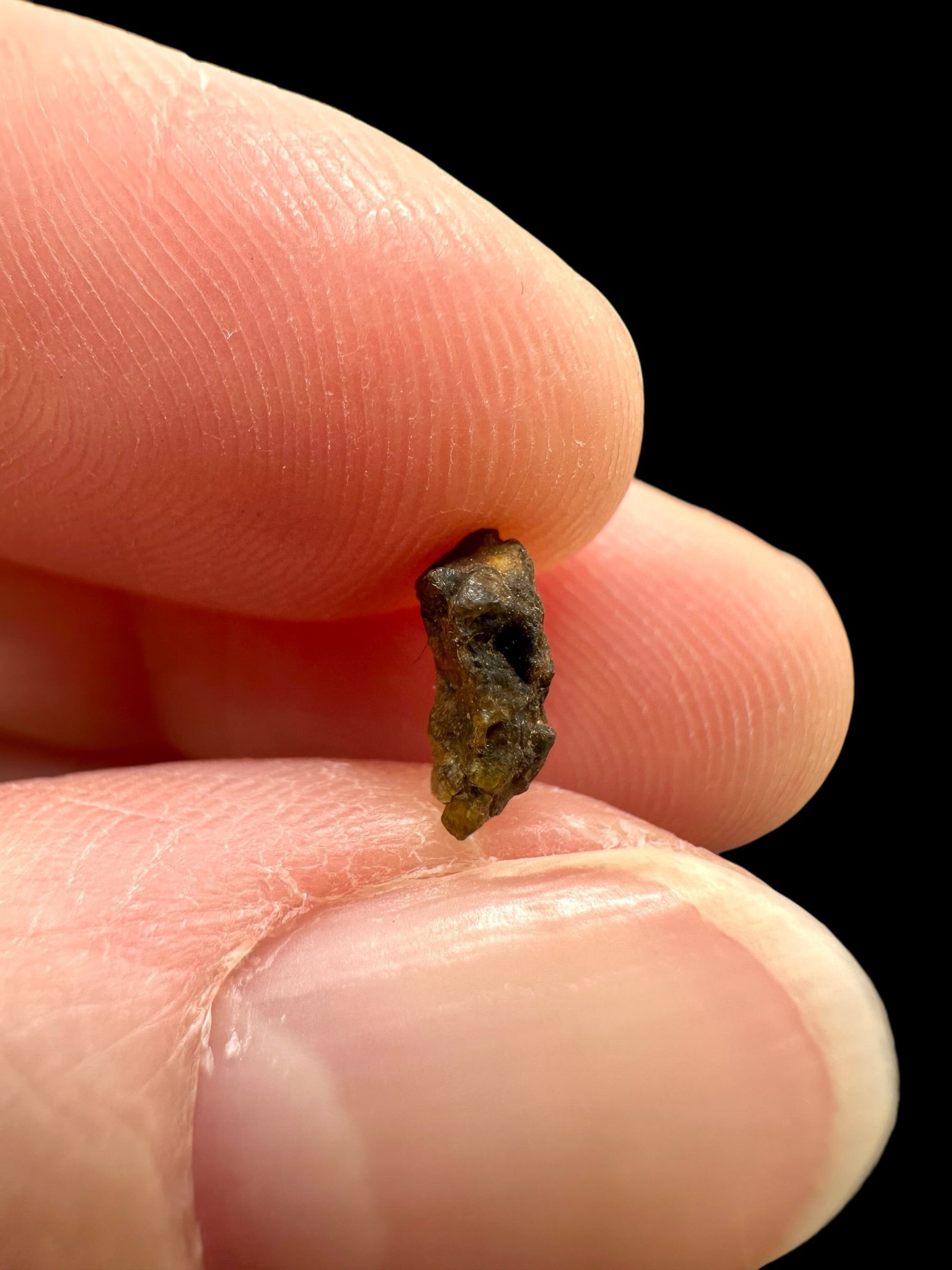 Meteorite NWA 7831 – 0,2g – Western Sahara - MENWA31