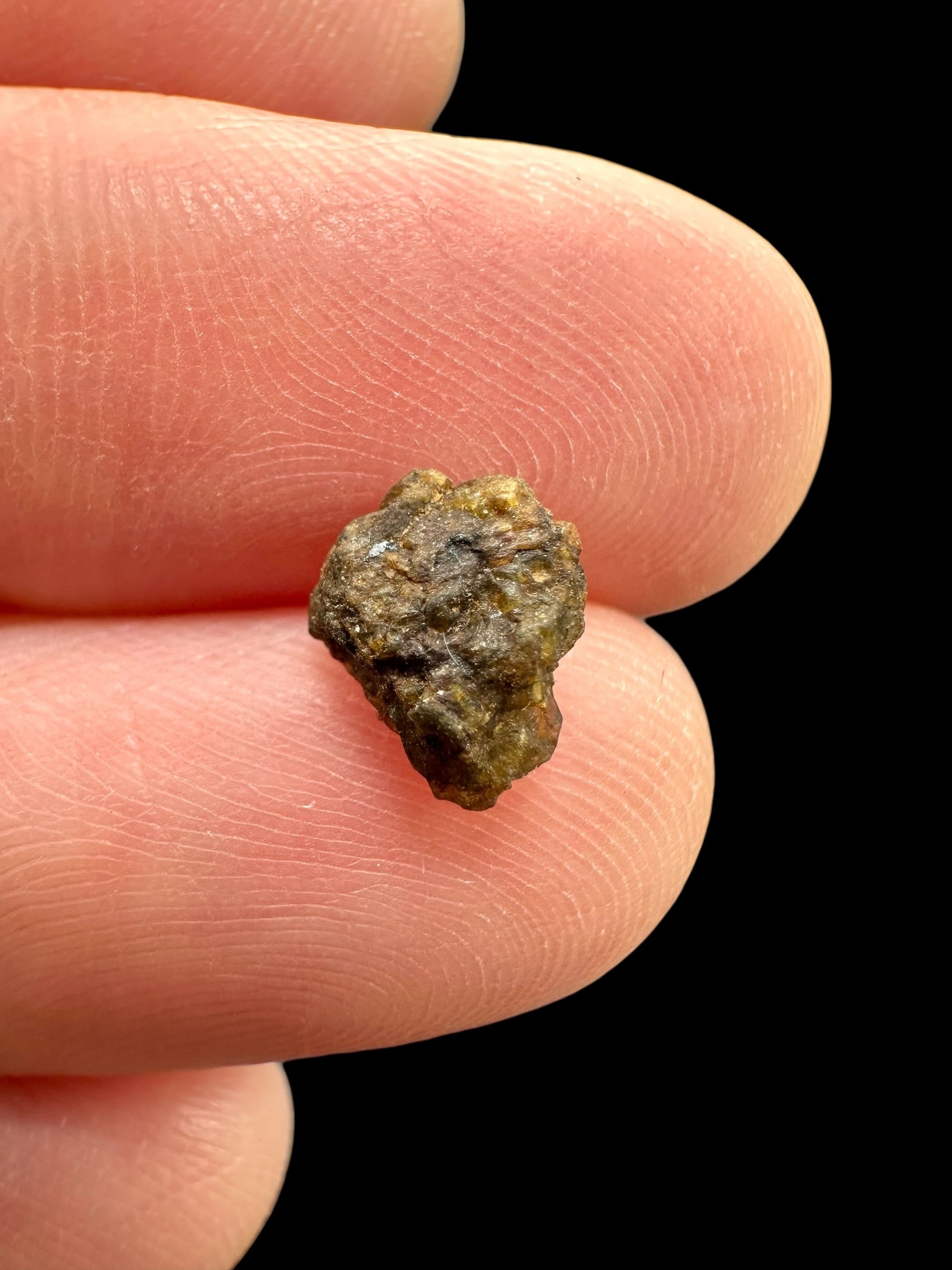 Meteorite NWA 7831 – 0,2g – Western Sahara - MENWA31
