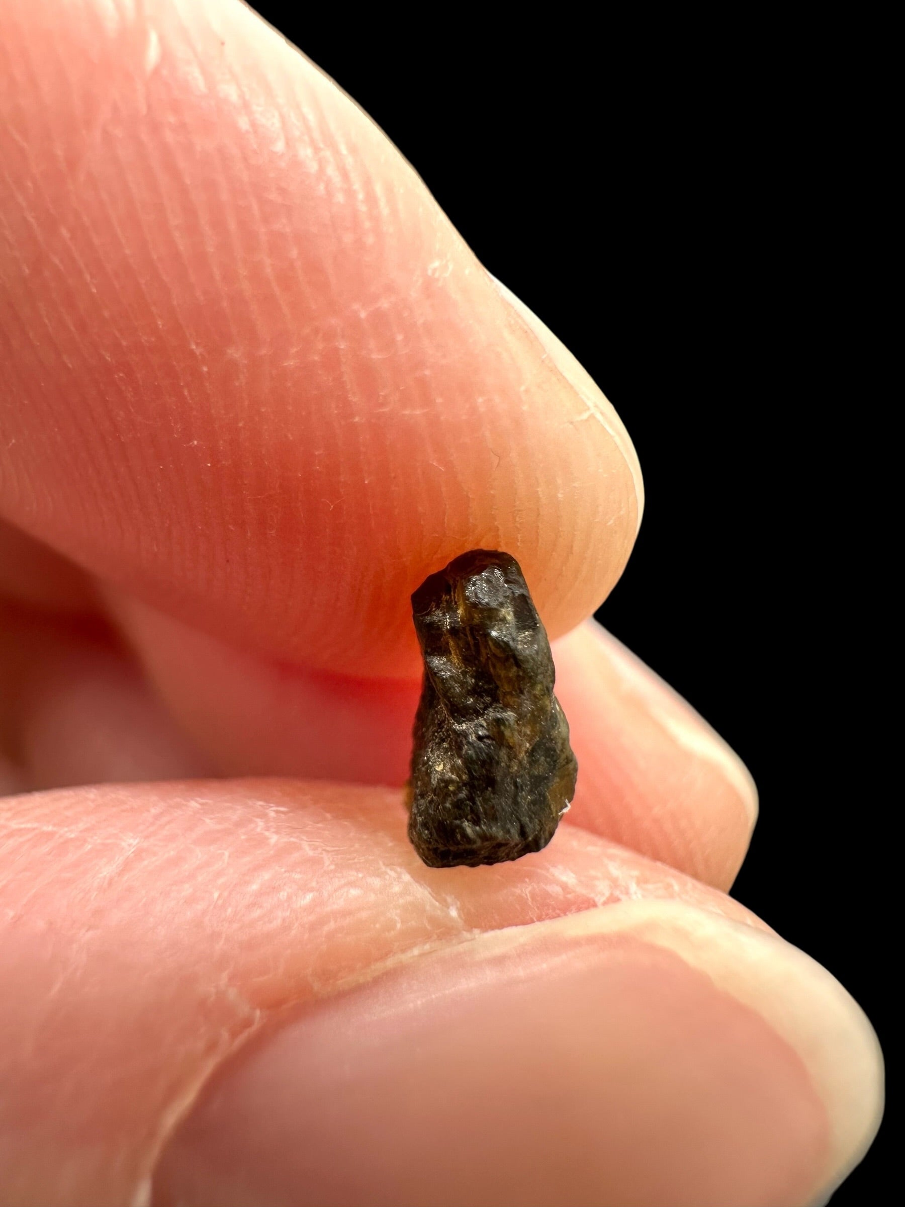 Meteorite NWA 7831 – 0,1g – Western Sahara - MENWA33