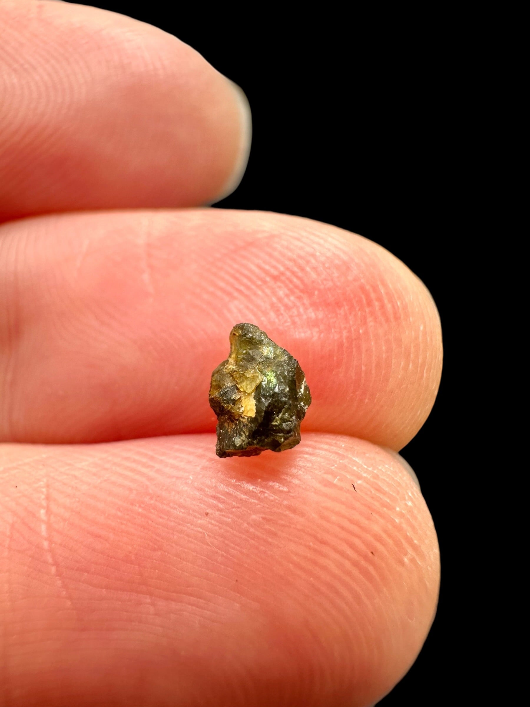 Meteorite NWA 7831 – 0,1g – Western Sahara - MENWA36