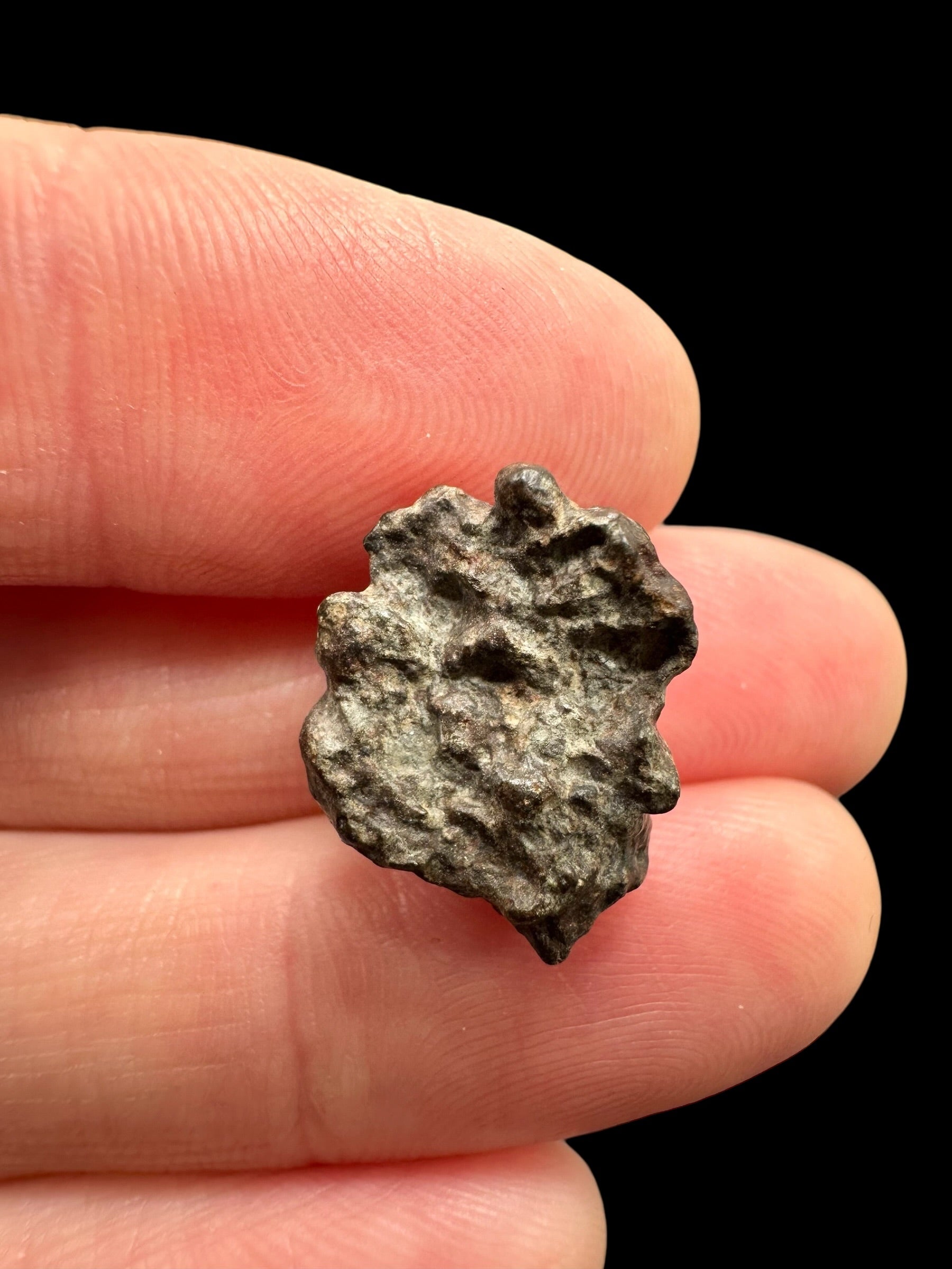 Meteorite NWA 869 – 2,1g – Northwest Africa