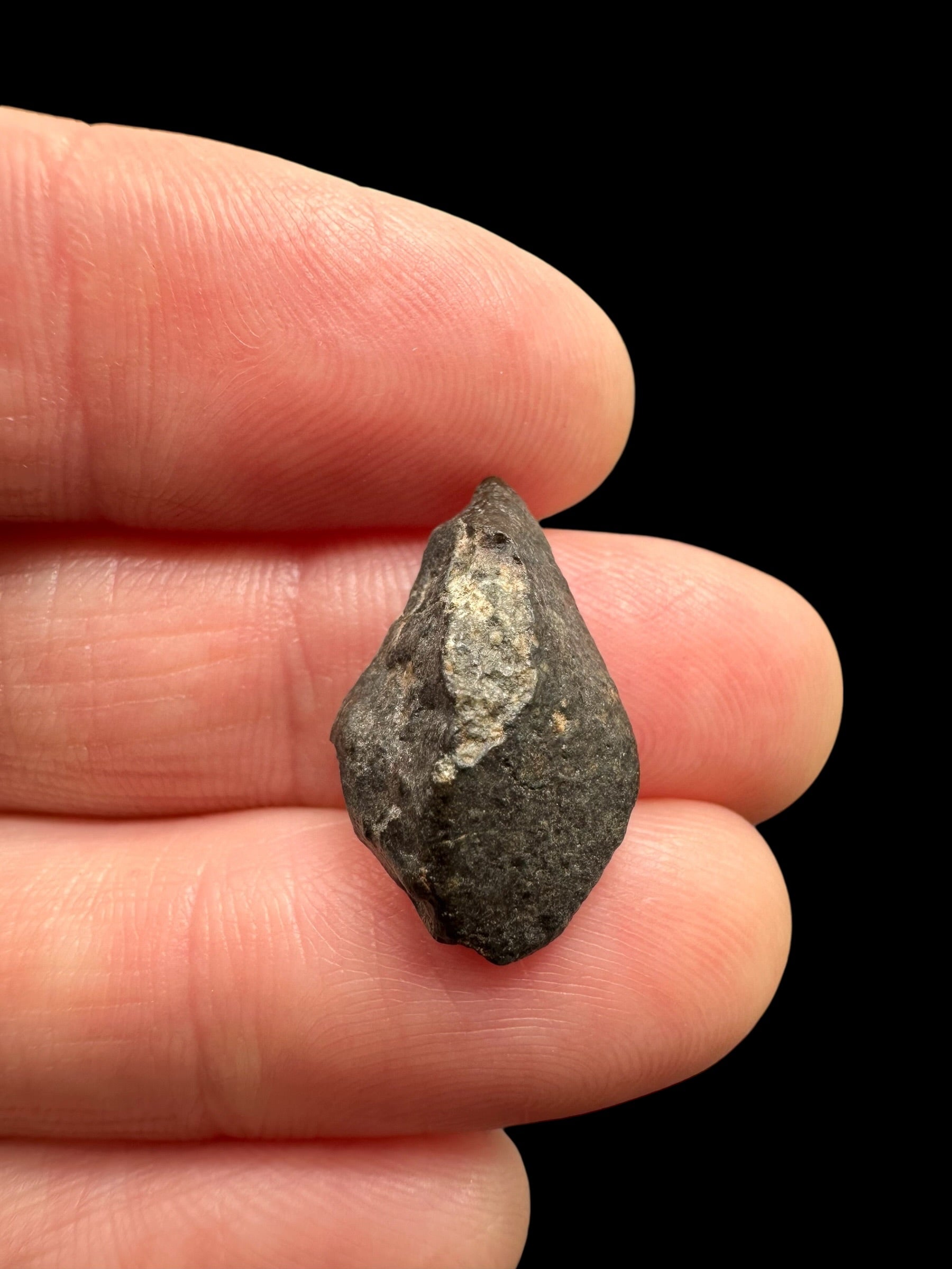 Meteorite NWA 869 – 1,6g – Northwest Africa - MENW42