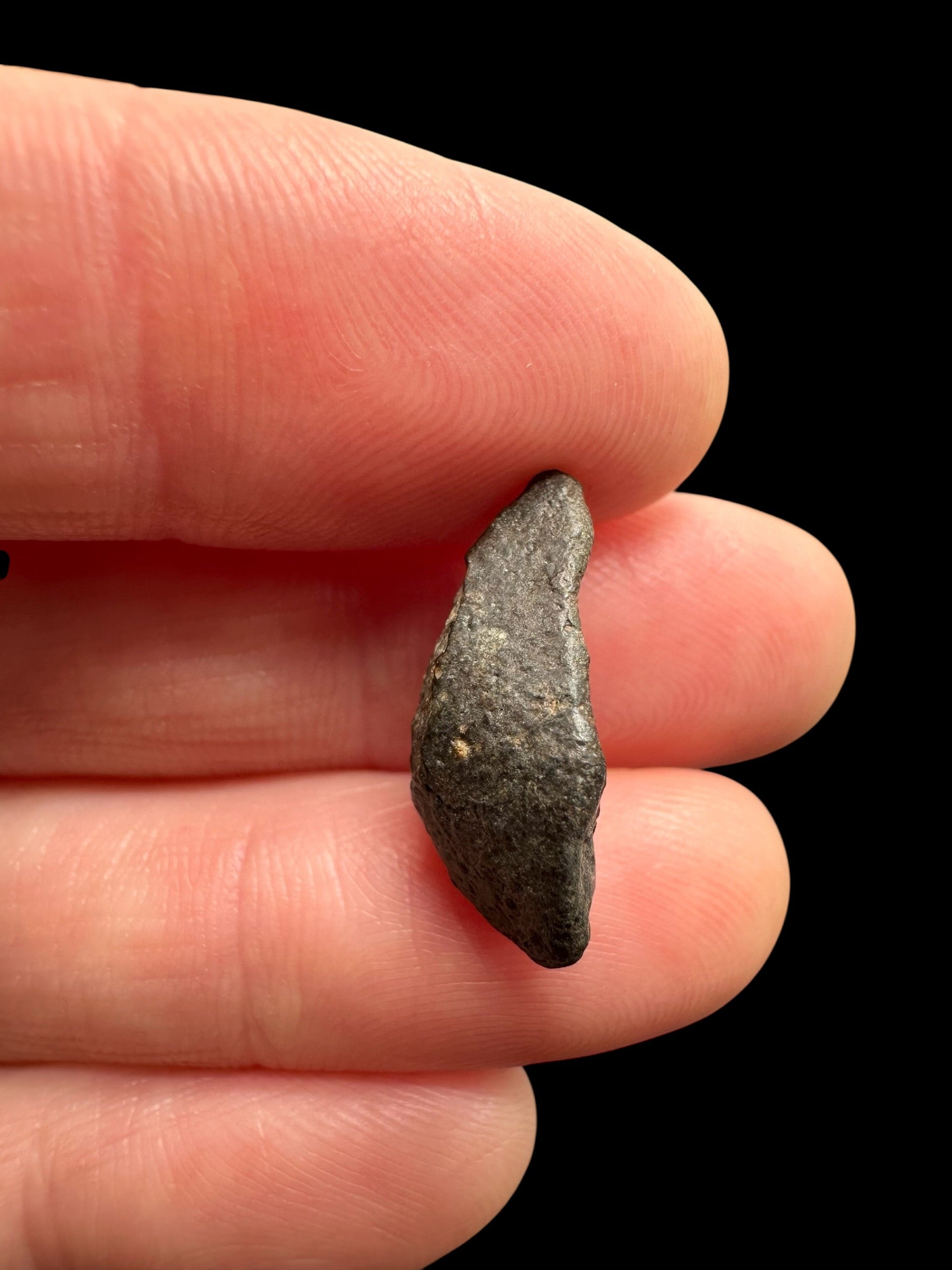 Meteorite NWA 869 – 1,6g – Northwest Africa - MENW42