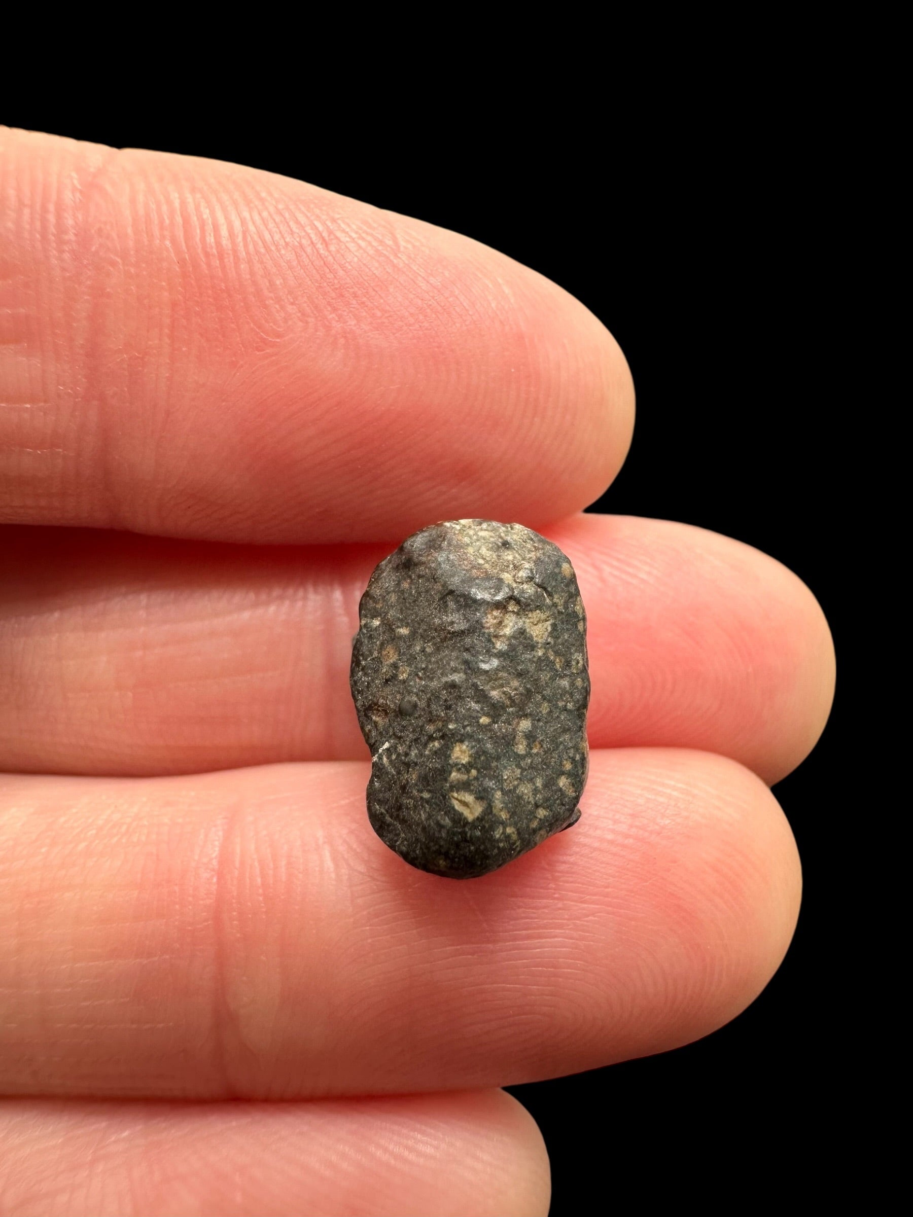 Meteorite NWA 869 – 1,7g – Northwest Africa - MENW43