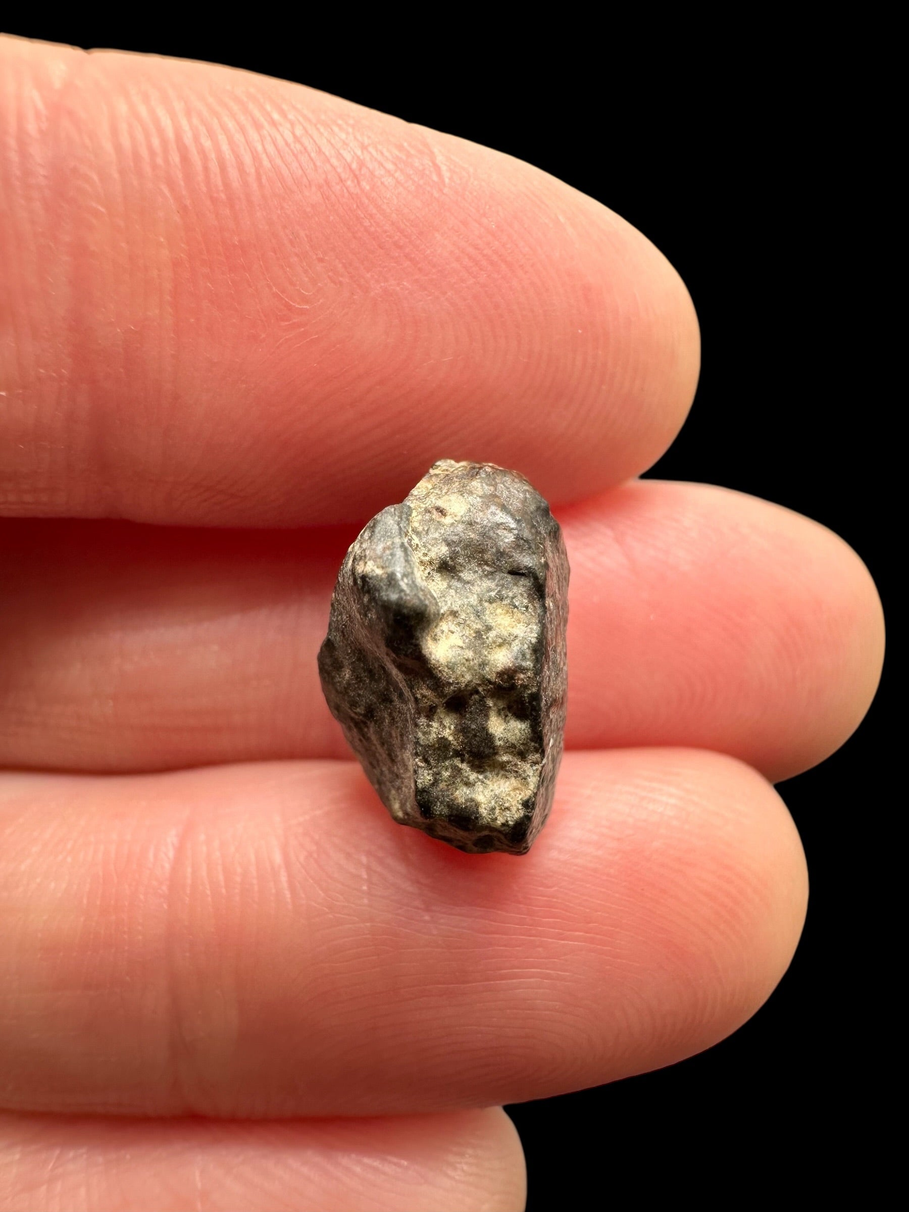 Meteorite NWA 869 – 1,7g – Northwest Africa - MENW43