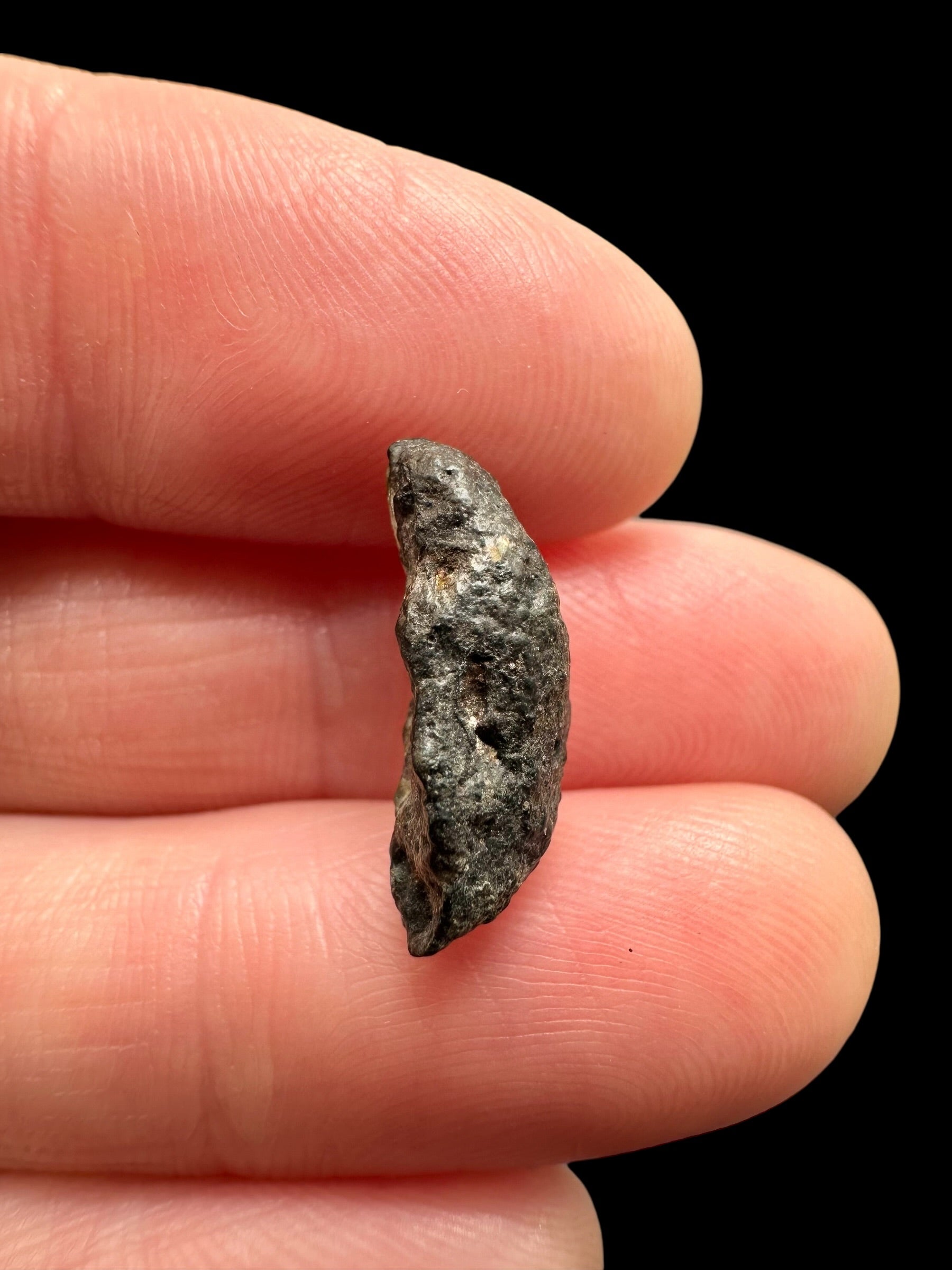 Meteorite NWA 869 – 1,2g – Northwest Africa - MENW44
