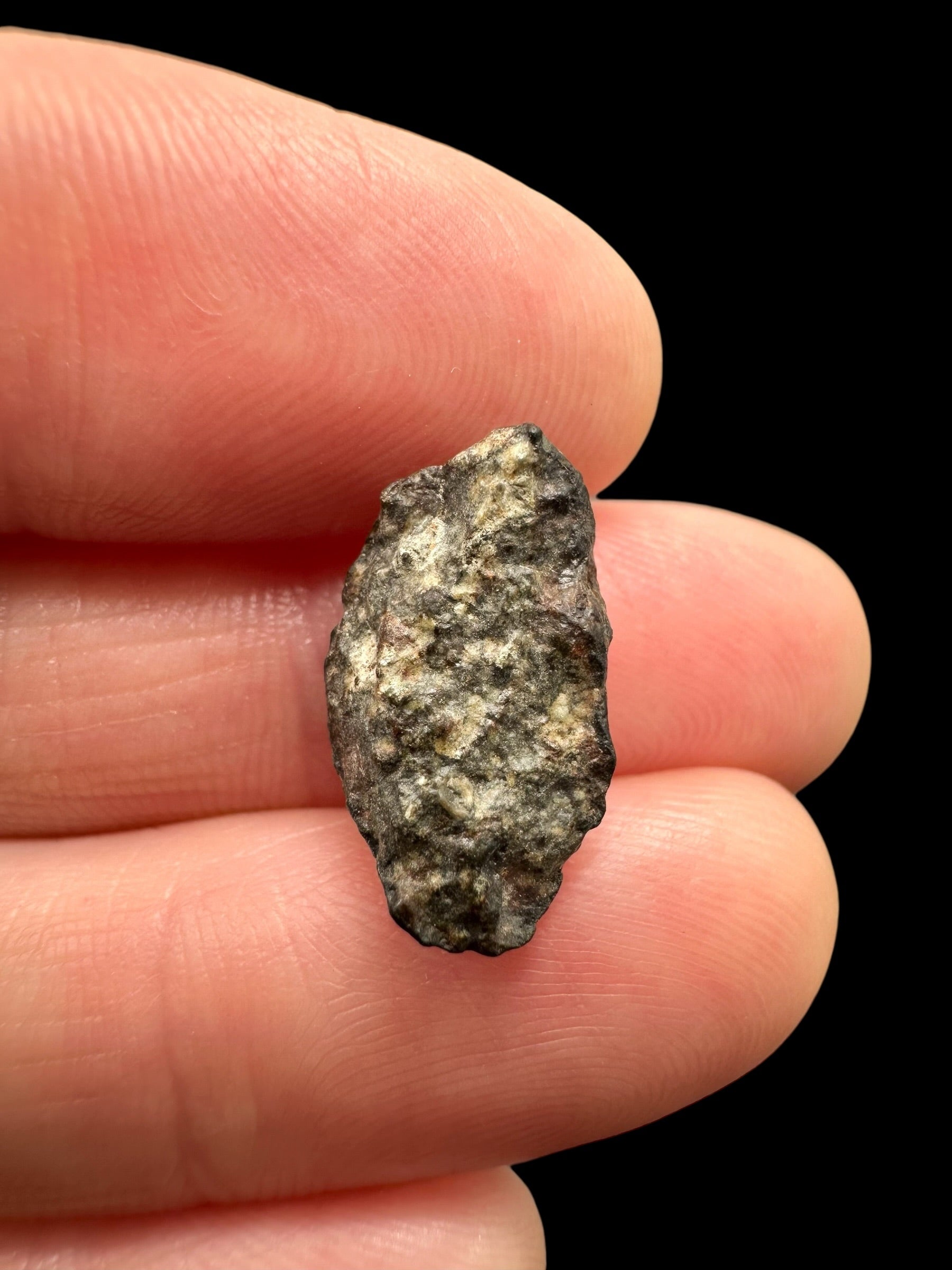 Meteorite NWA 869 – 1,2g – Northwest Africa