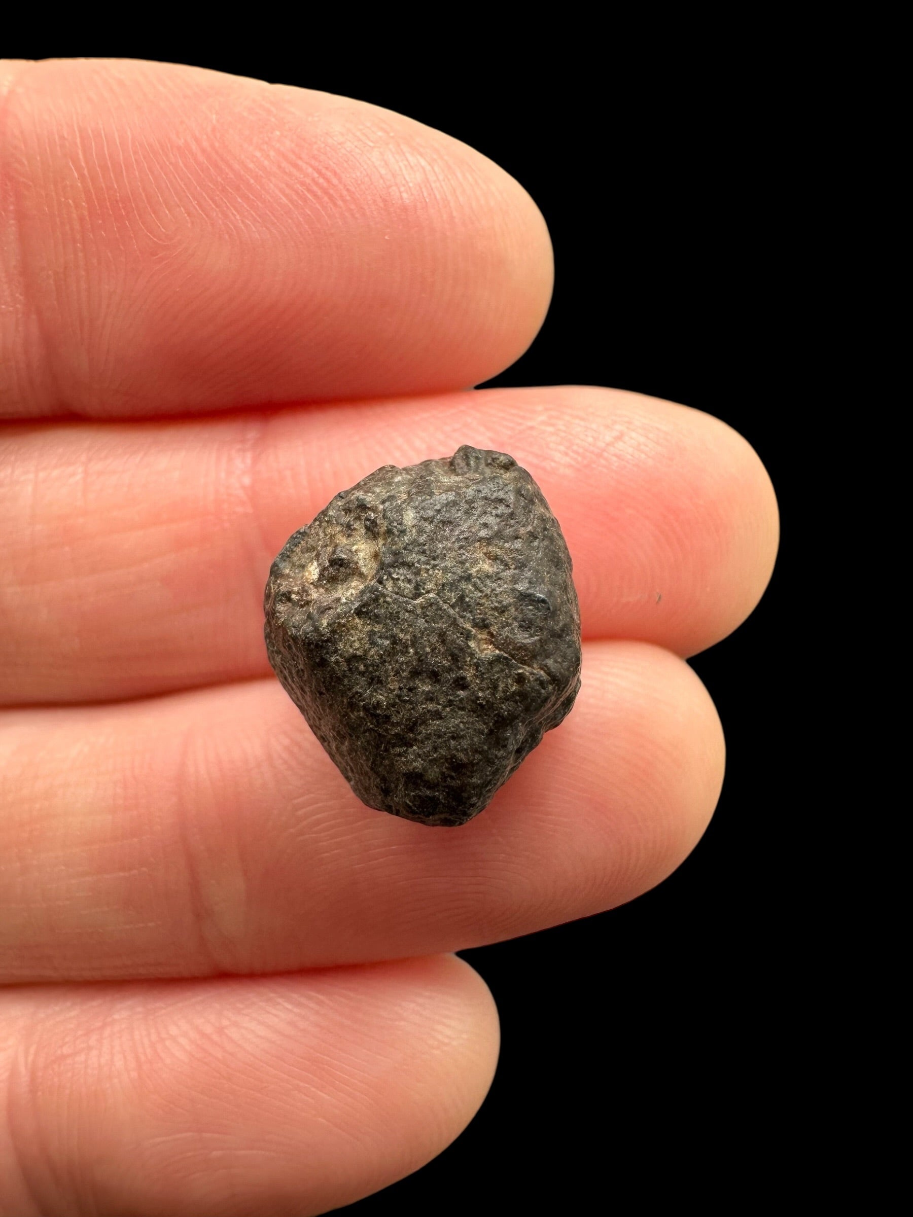 Meteorite NWA 869 – 2,6g – Northwest Africa - MENW45