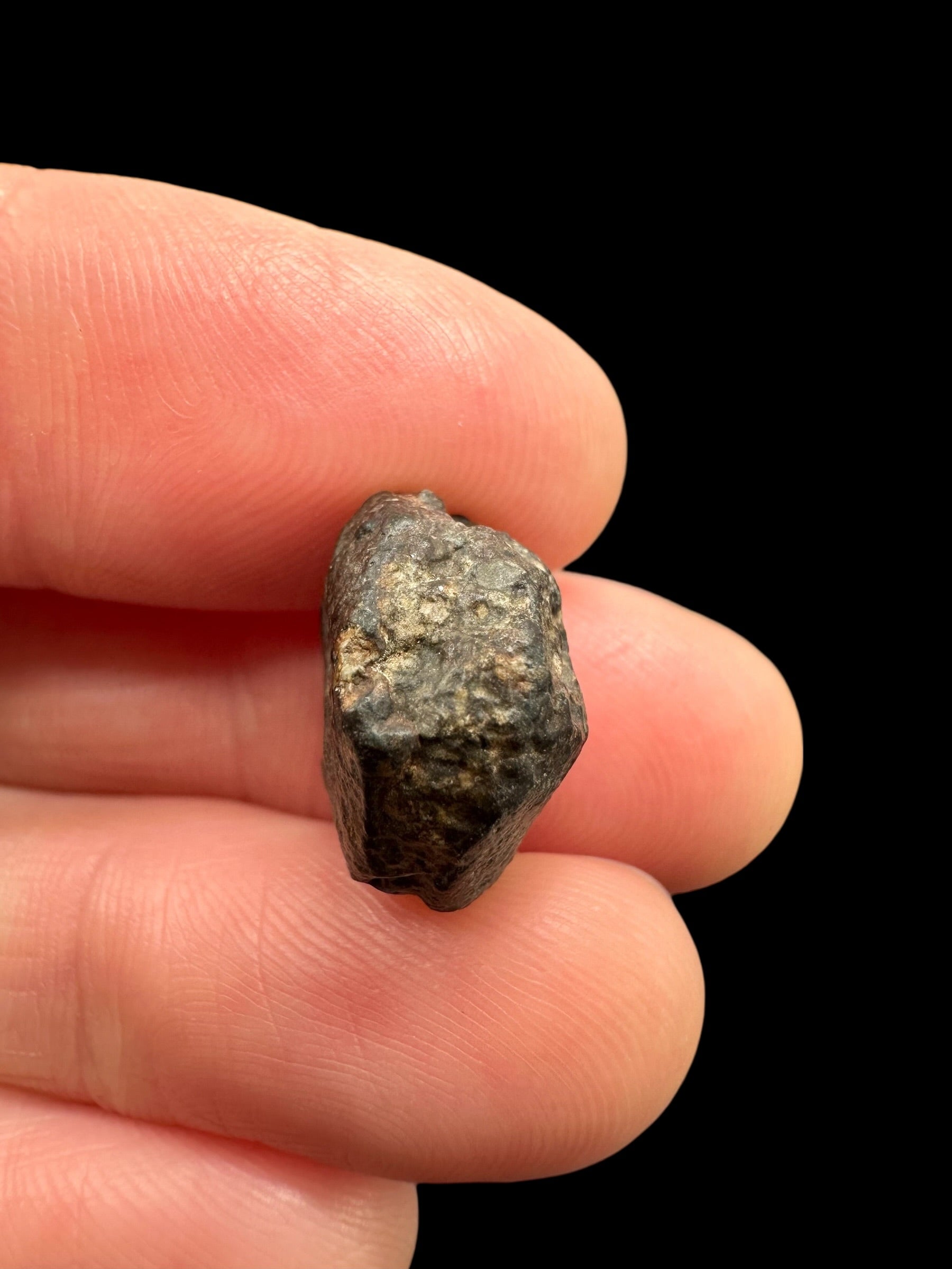 Meteorite NWA 869 – 2,6g – Northwest Africa - MENW45