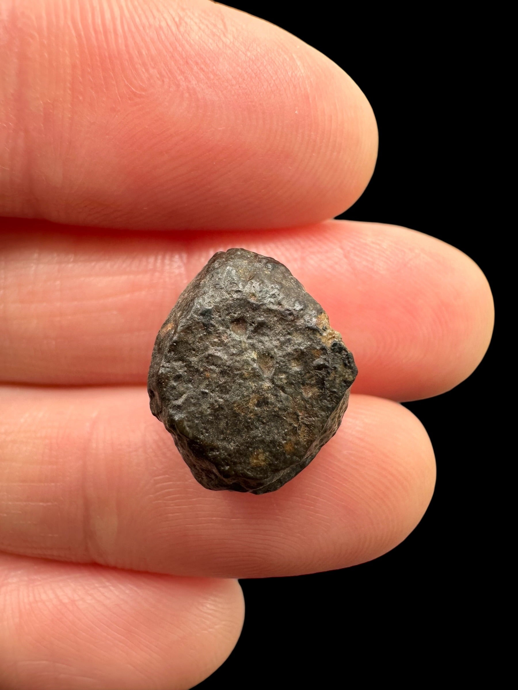 Meteorite NWA 869 – 2,6g – Northwest Africa
