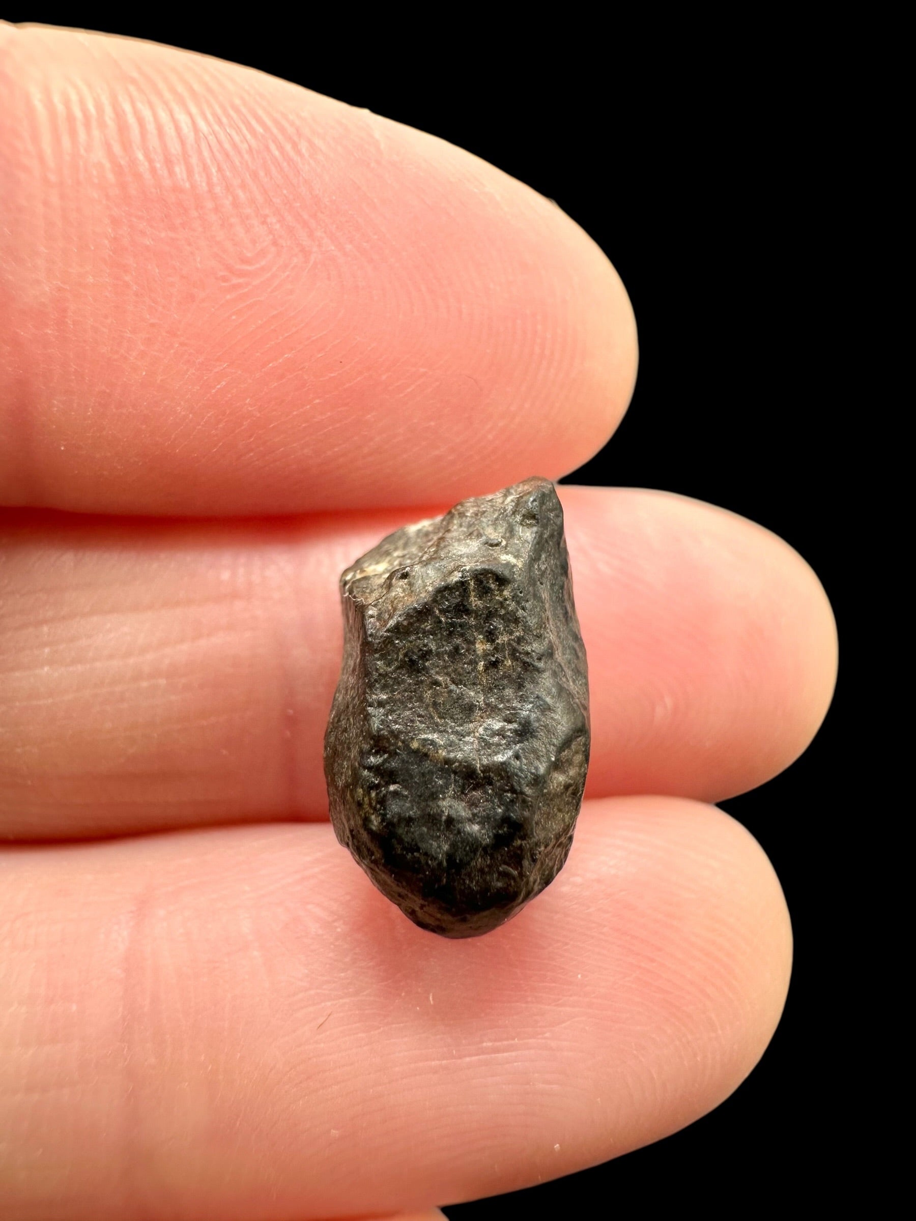 Meteorite NWA 869 – 1,7g – Northwest Africa - MENW47