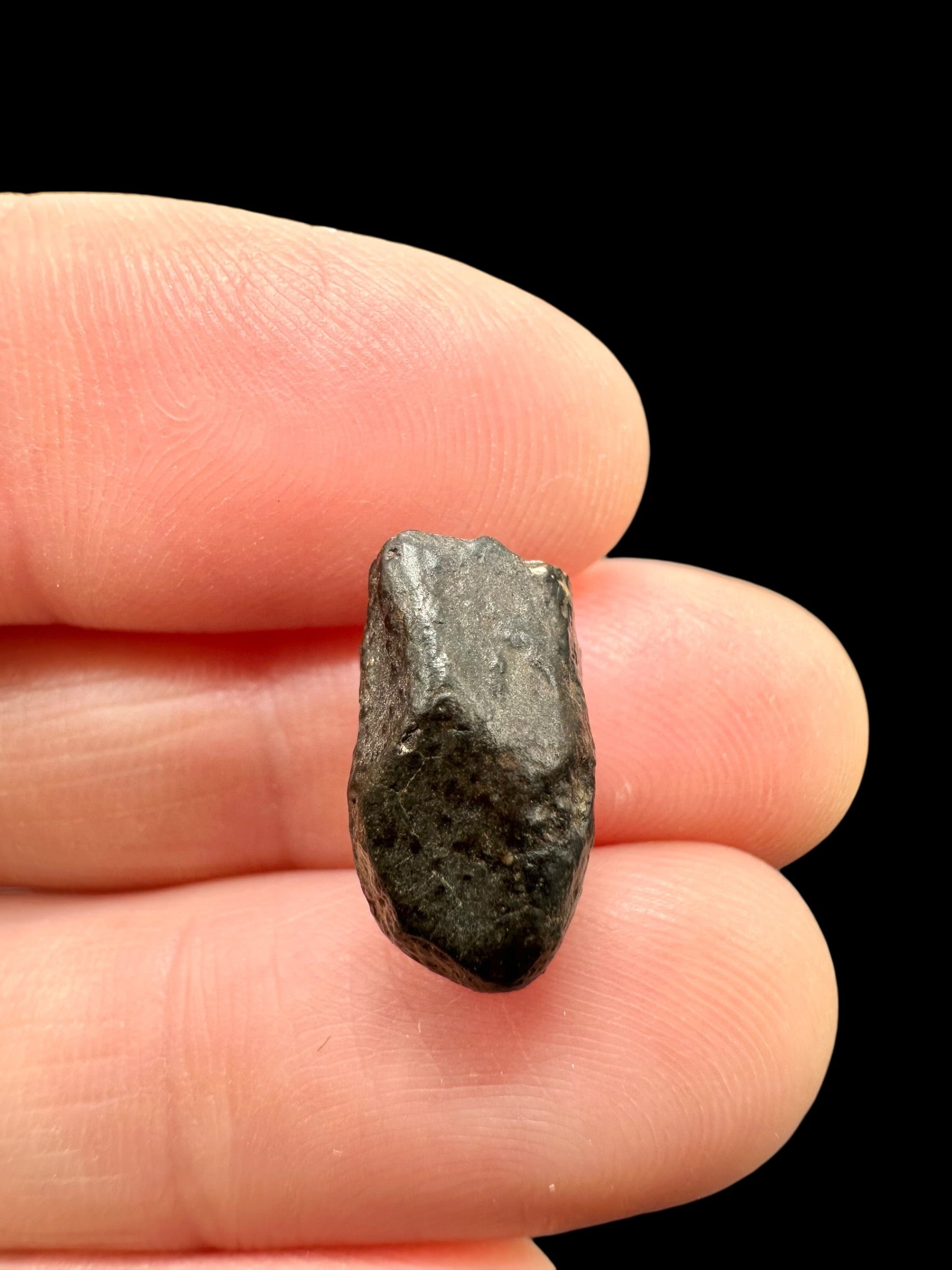 Meteorite NWA 869 – 1,7g – Northwest Africa - MENW47