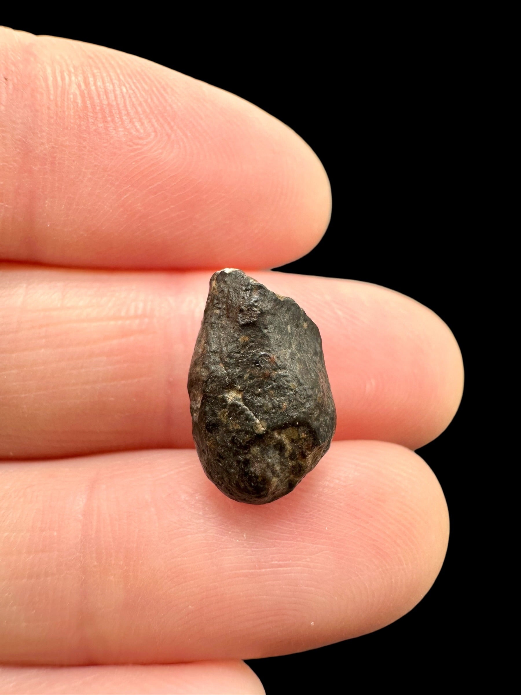 Meteorite NWA 869 – 1,7g – Northwest Africa