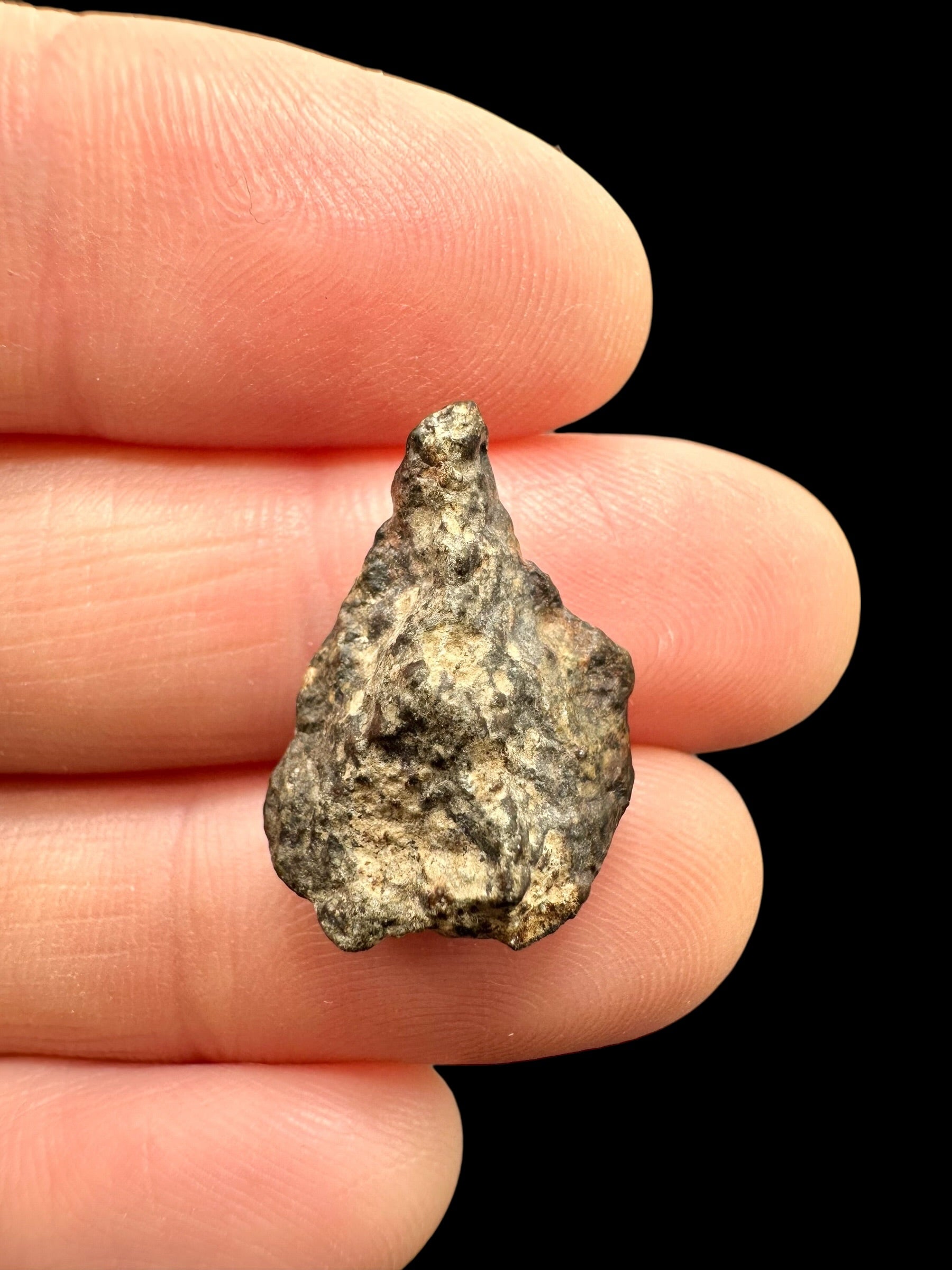 Meteorite NWA 869 – 2g – Northwest Africa - MENW48