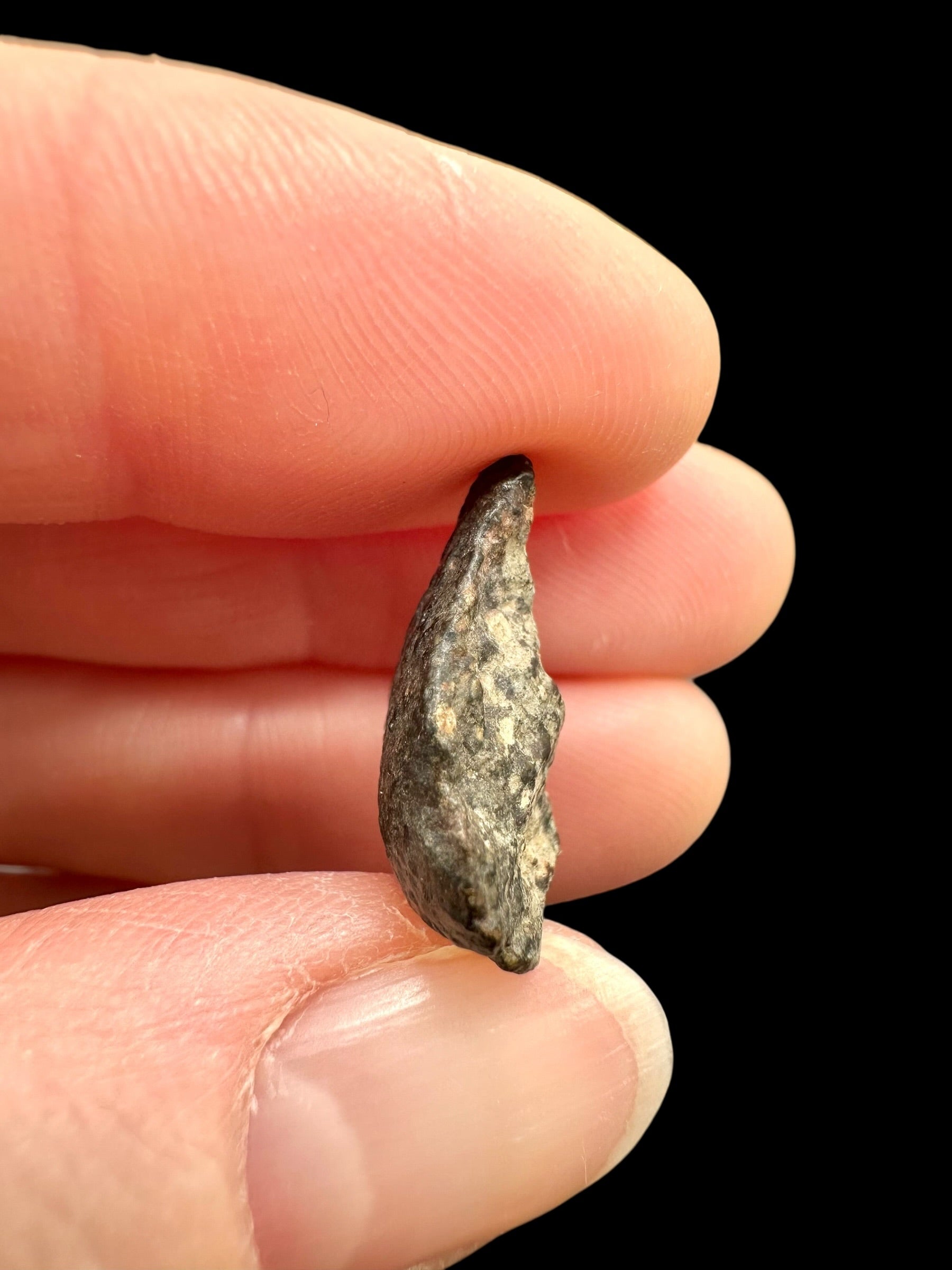 Meteorite NWA 869 – 2g – Northwest Africa - MENW48