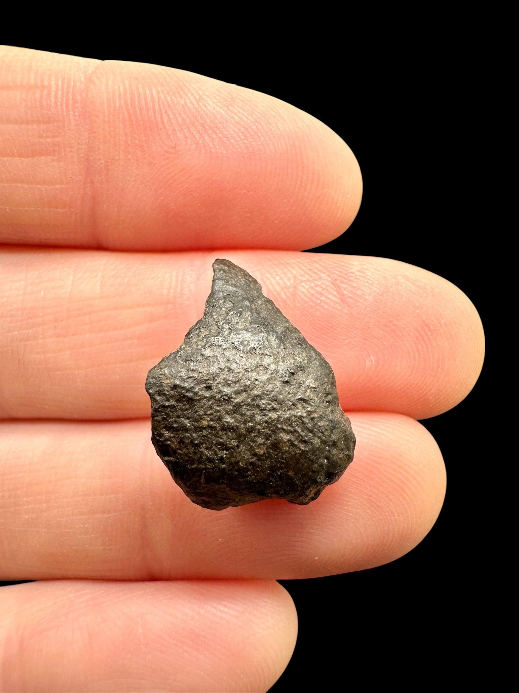 Meteorite NWA 869 – 2g – Northwest Africa
