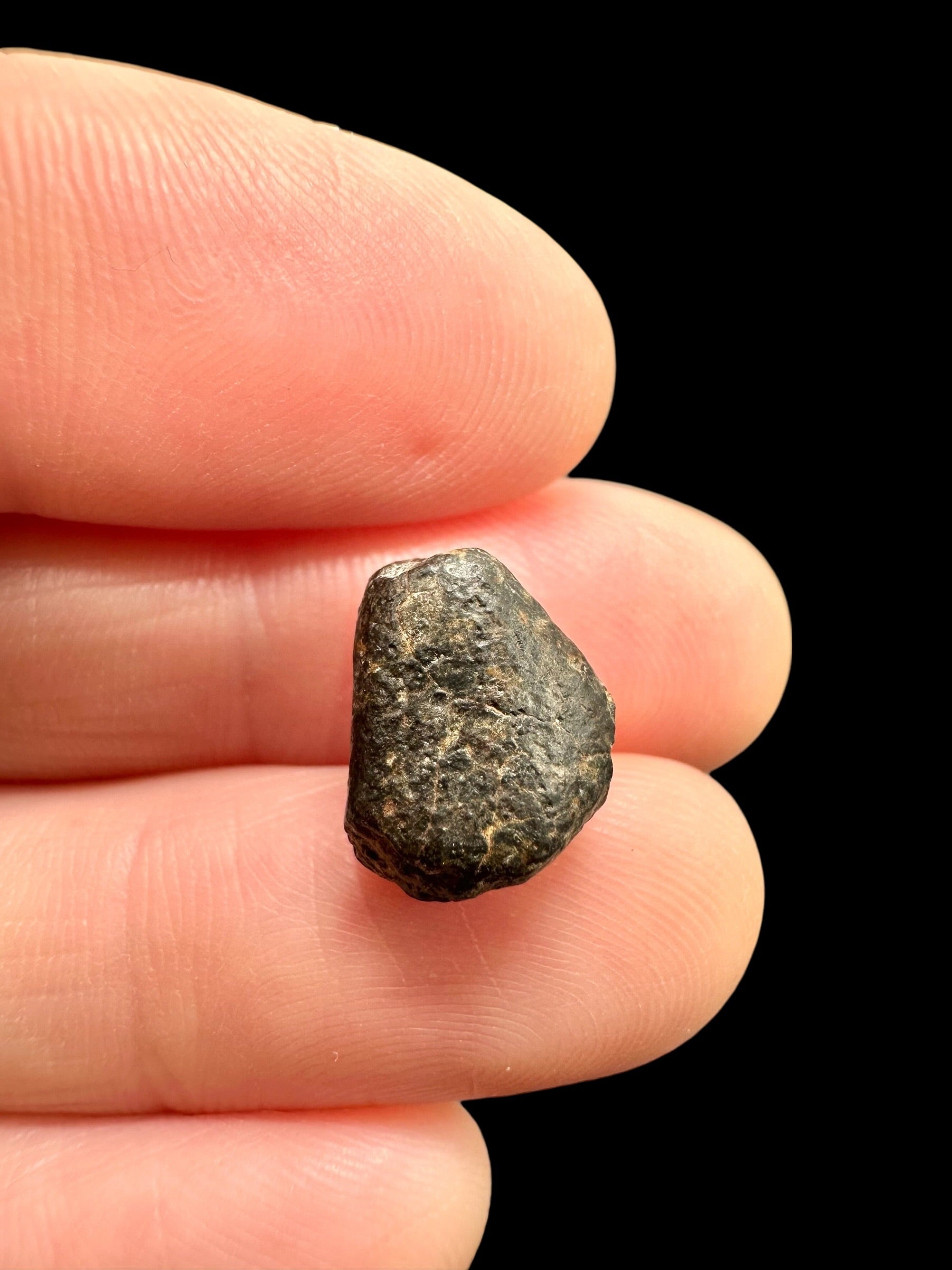Meteorite NWA 869 – 1,4g – Northwest Africa - MENW49