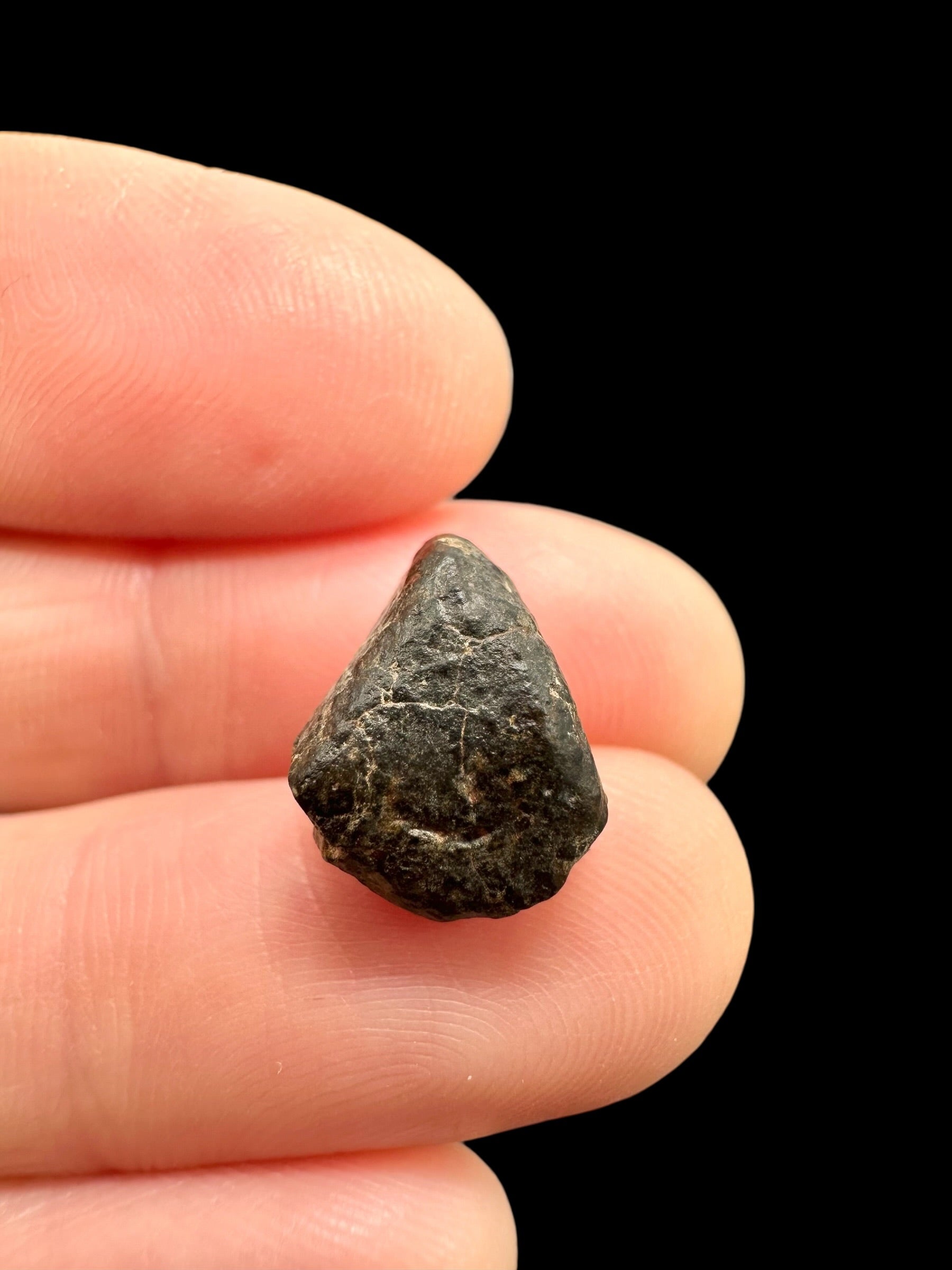 Meteorite NWA 869 – 1,4g – Northwest Africa