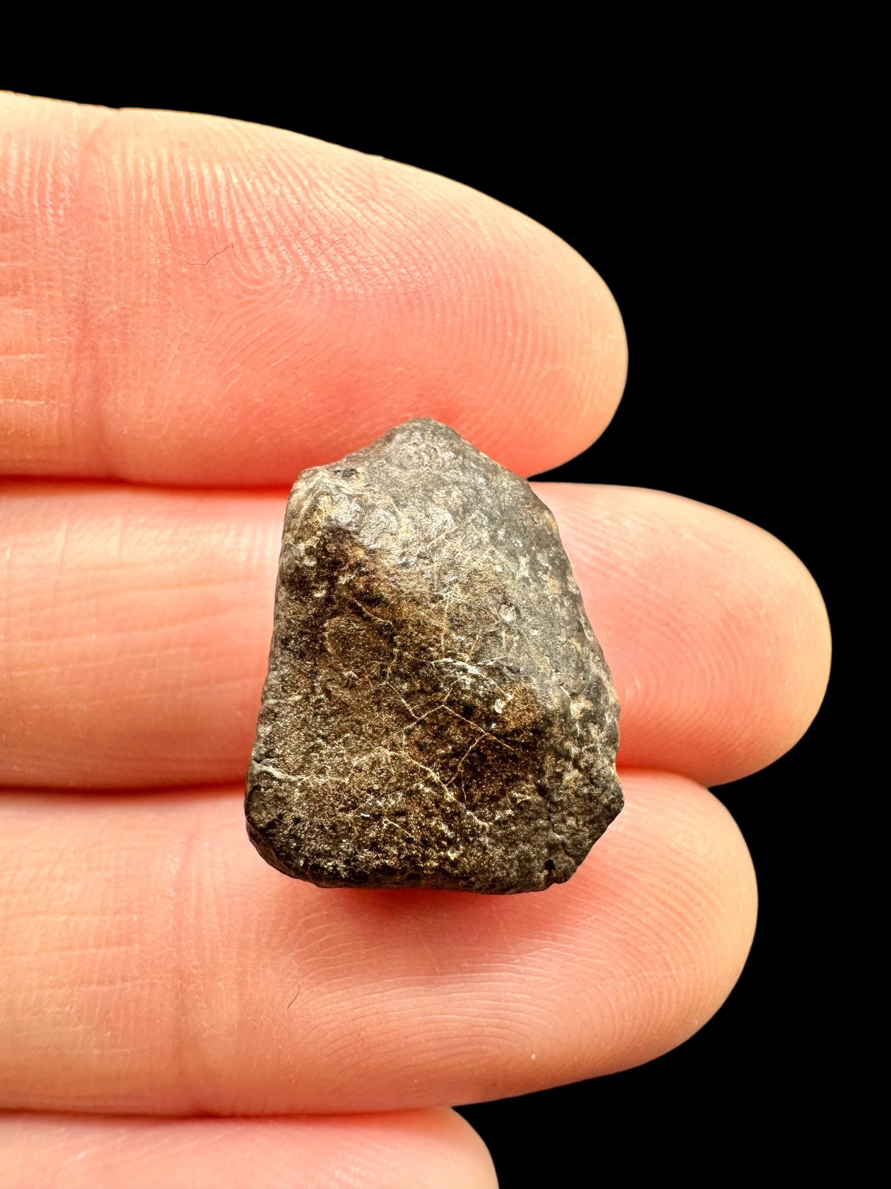 Meteorite NWA 869 – 2,7g – Northwest Africa - MENW50