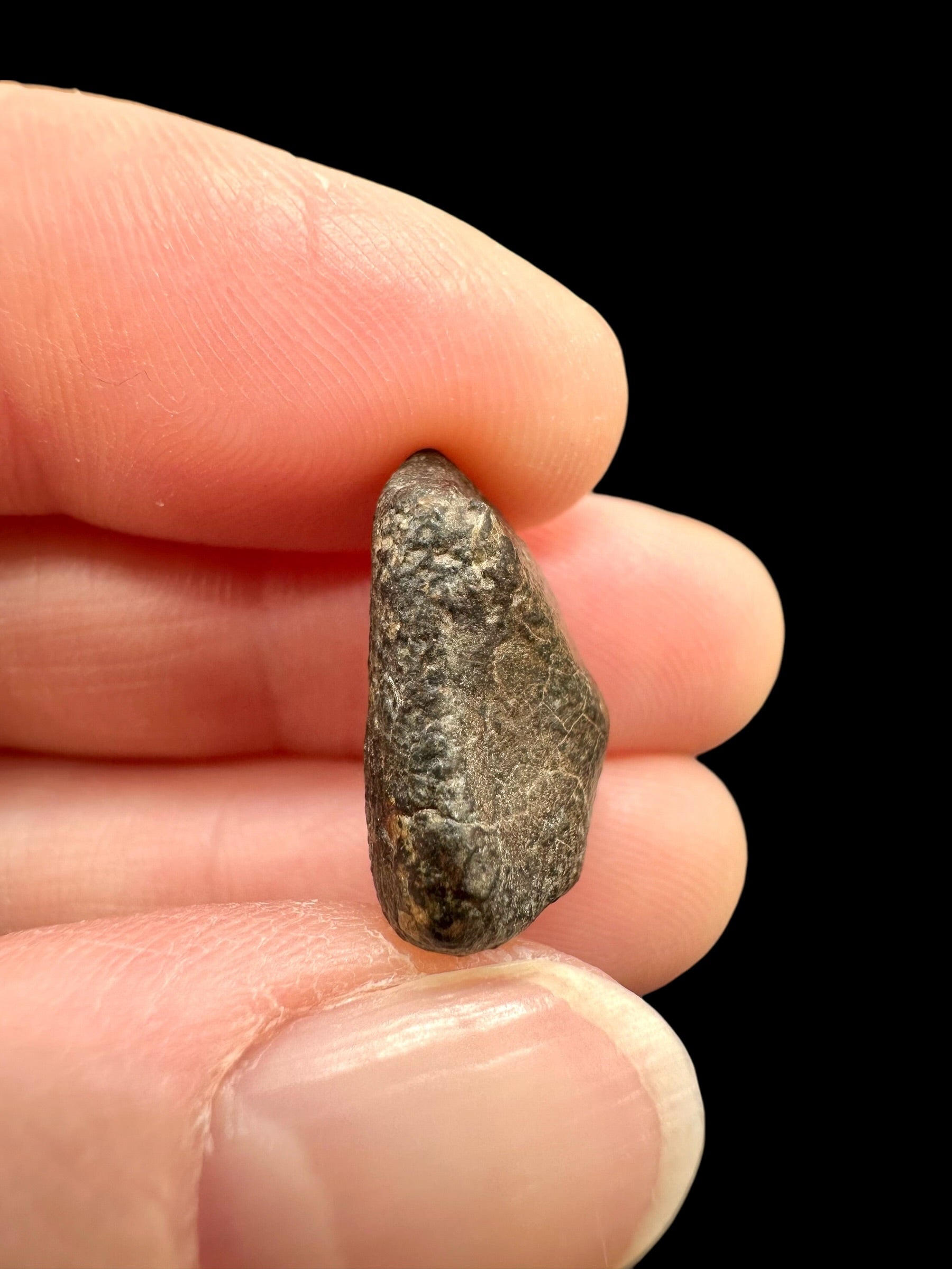 Meteorite NWA 869 – 2,7g – Northwest Africa - MENW50
