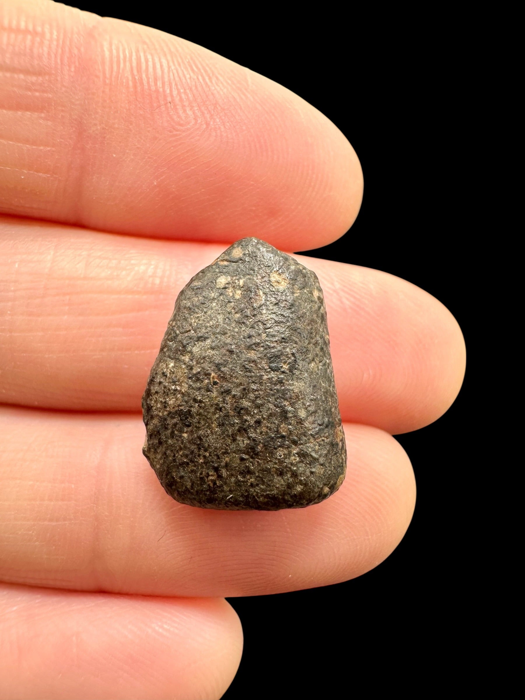 Meteorite NWA 869 – 2,7g – Northwest Africa