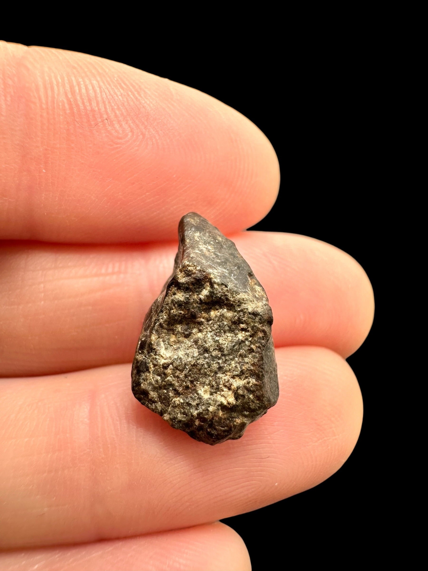 Meteorite NWA 869 – 2,2g – Northwest Africa - MENW51