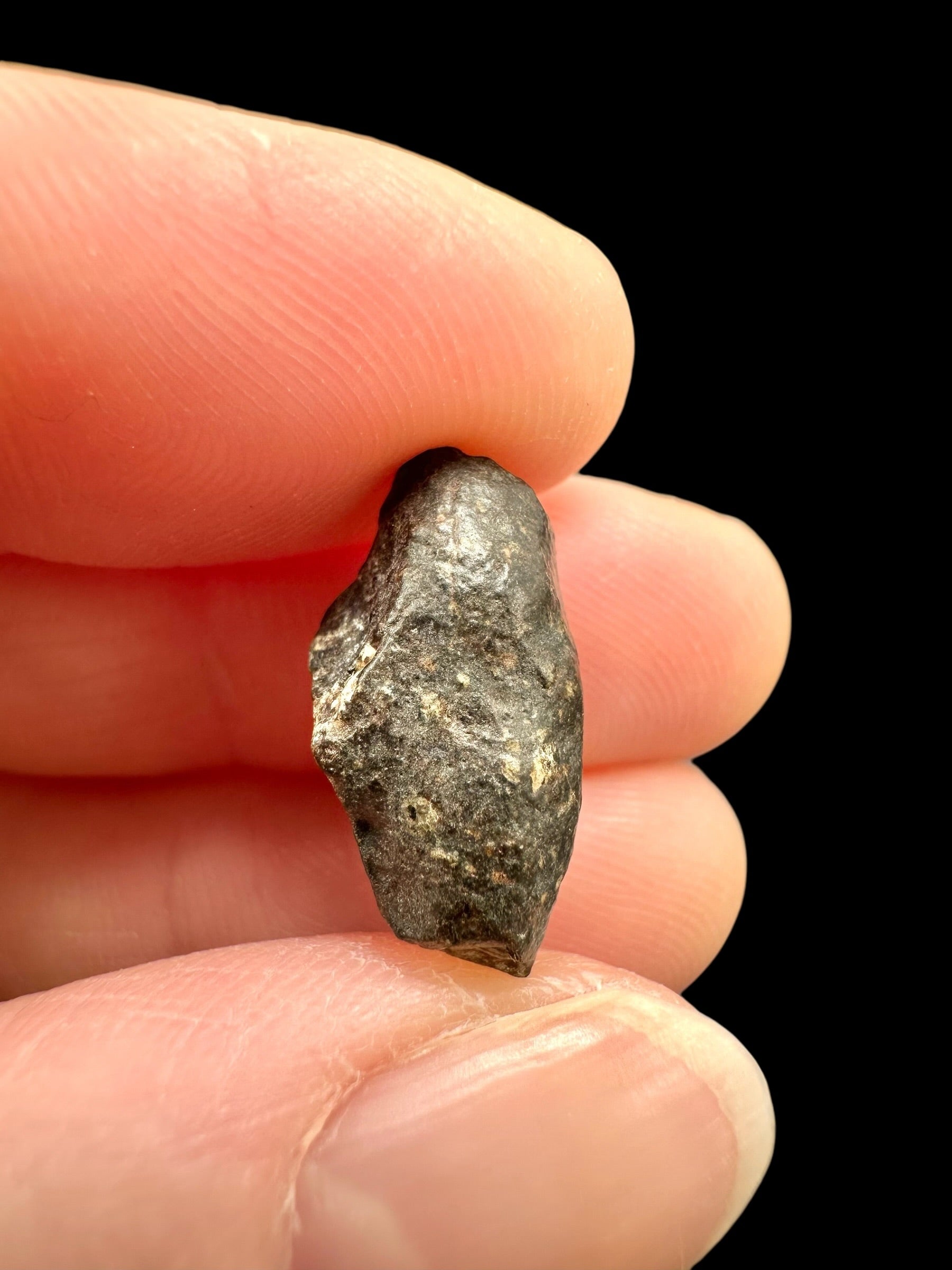 Meteorite NWA 869 – 2,2g – Northwest Africa - MENW51