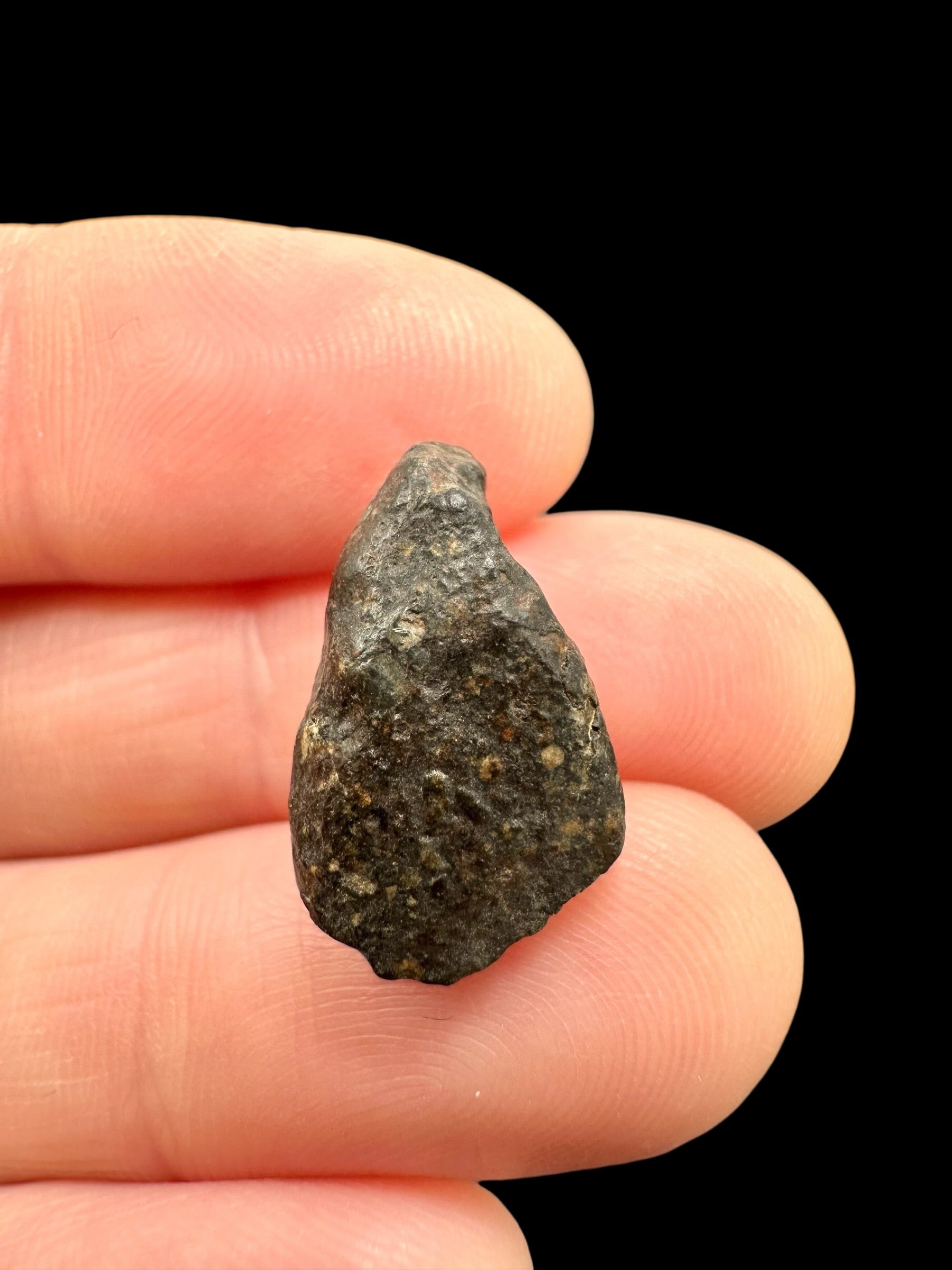 Meteorite NWA 869 – 2,2g – Northwest Africa