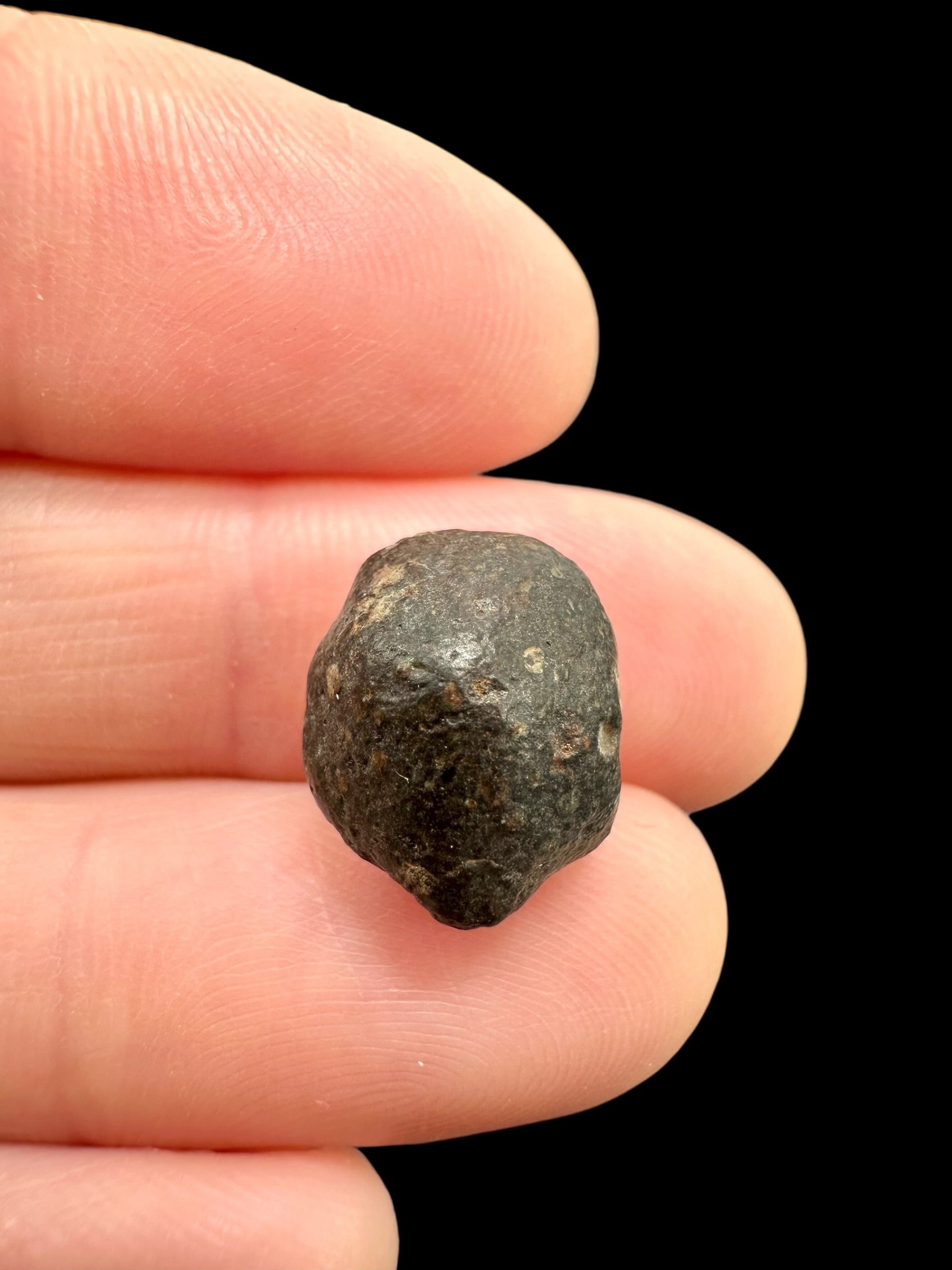 Meteorite NWA 869 – 1,8g – Northwest Africa - MENW52