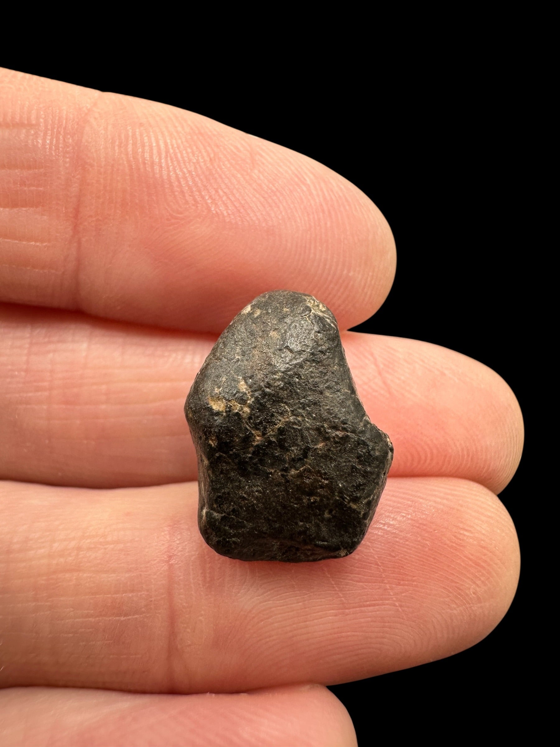 Meteorite NWA 869 – 2,9g – Northwest Africa - MENW53