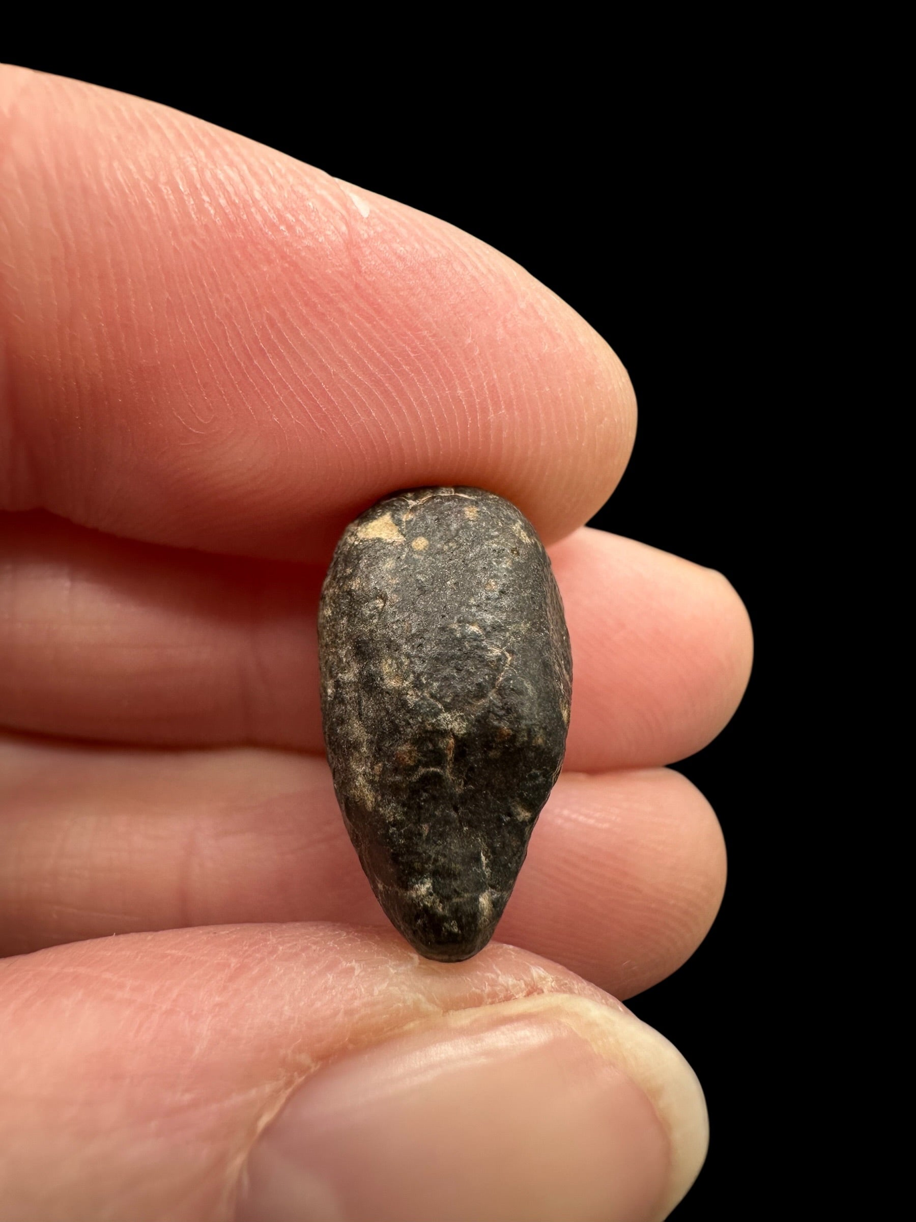Meteorite NWA 869 – 2,9g – Northwest Africa - MENW53