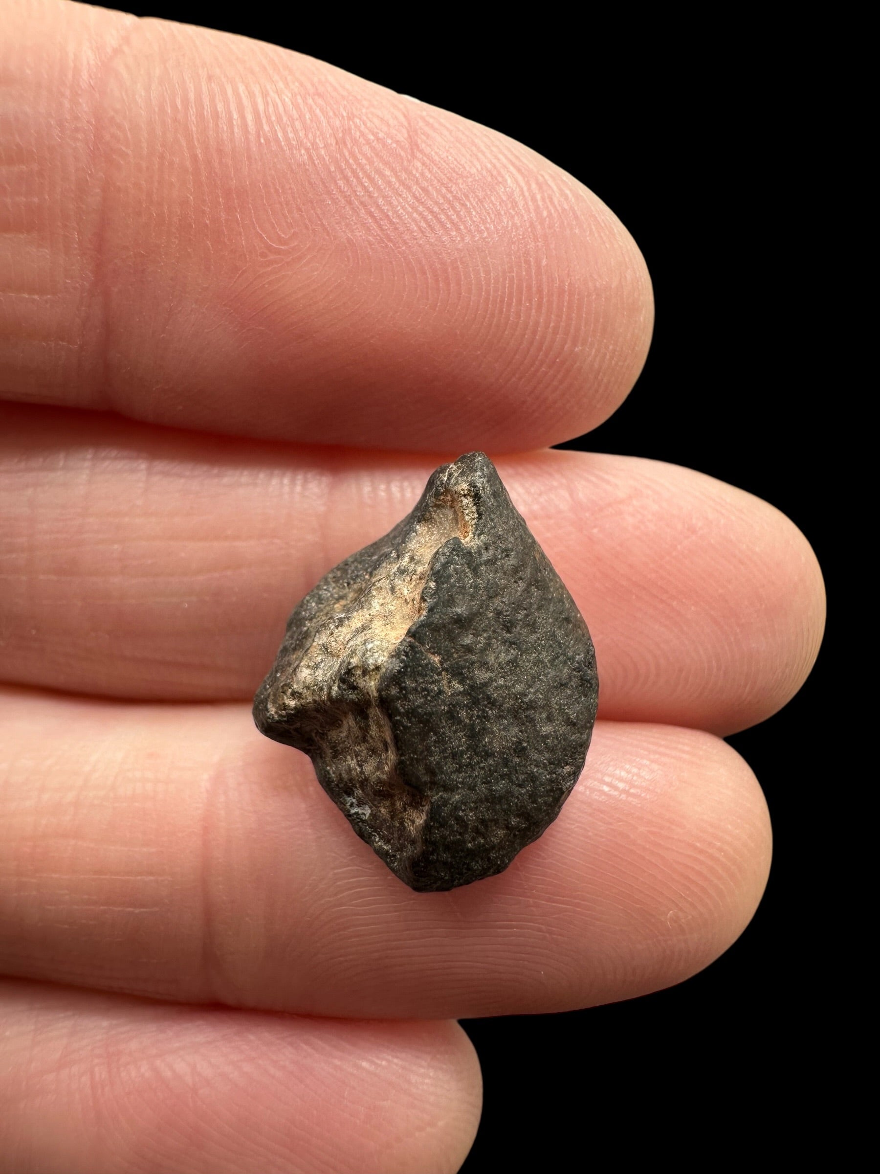 Meteorite NWA 869 – 2g – Northwest Africa - MENW54