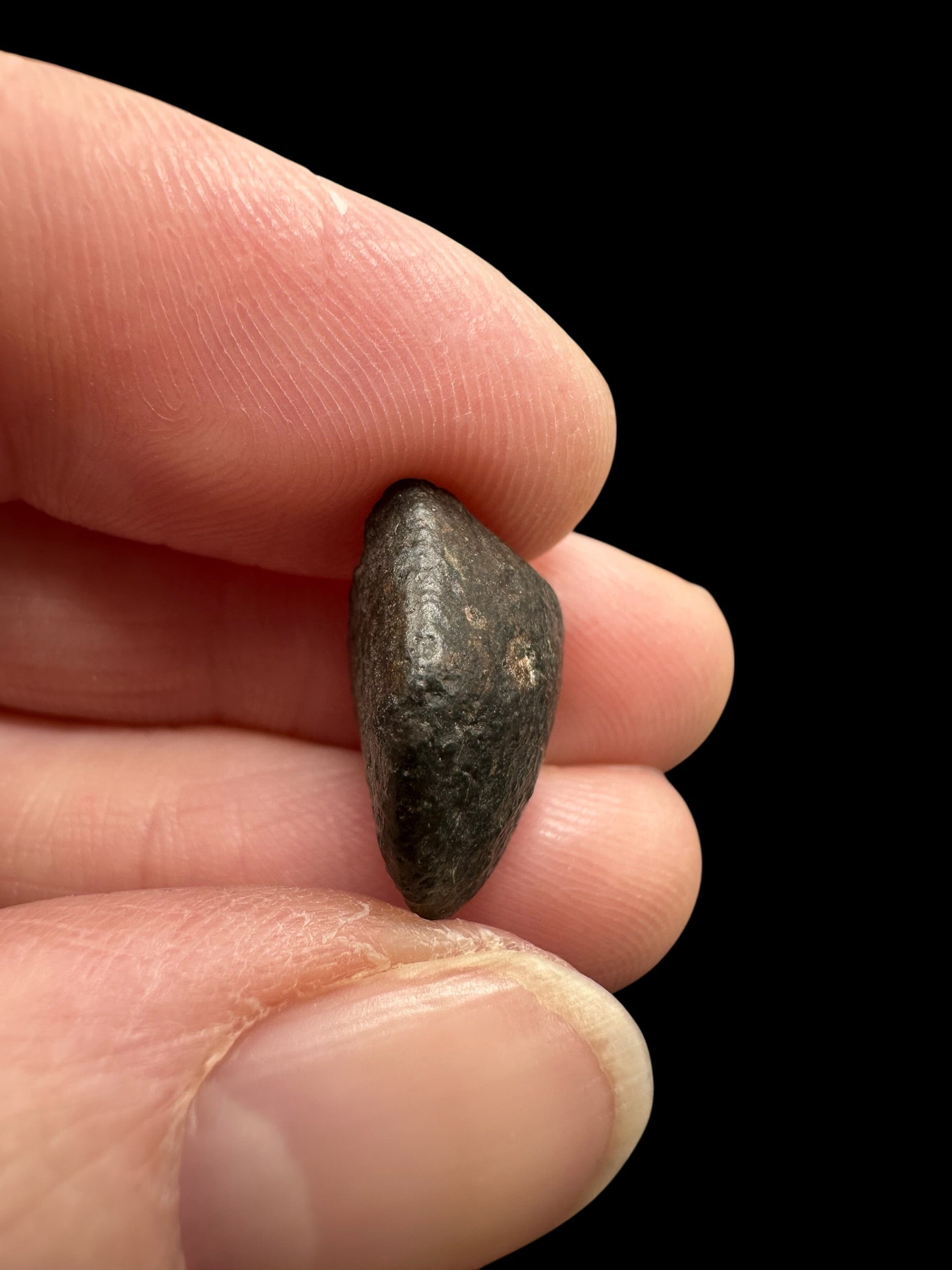 Meteorite NWA 869 – 2g – Northwest Africa - MENW54
