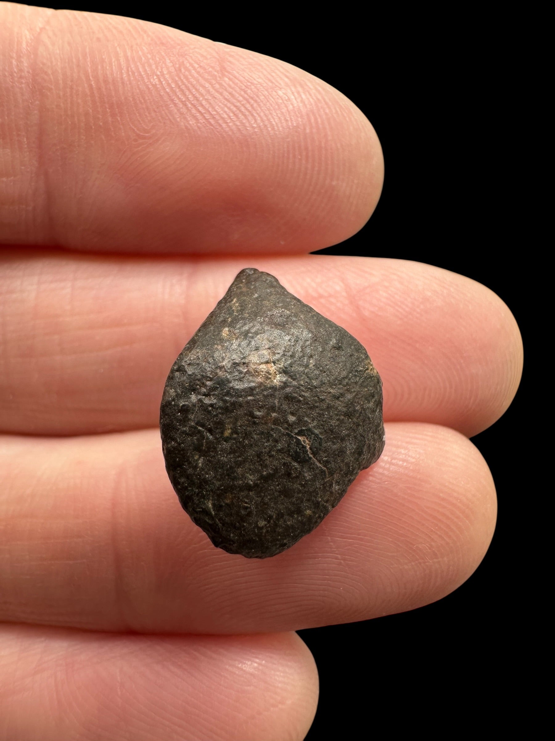 Meteorite NWA 869 – 2g – Northwest Africa