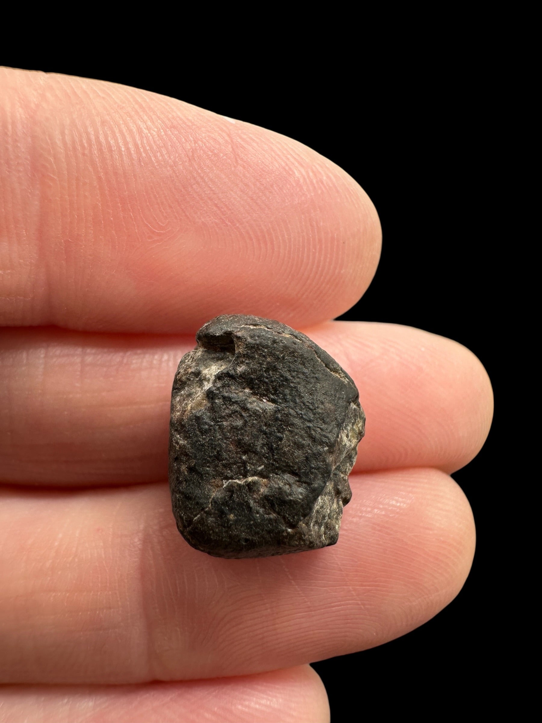 Meteorite NWA 869 – 2,4g – Northwest Africa - MENW56