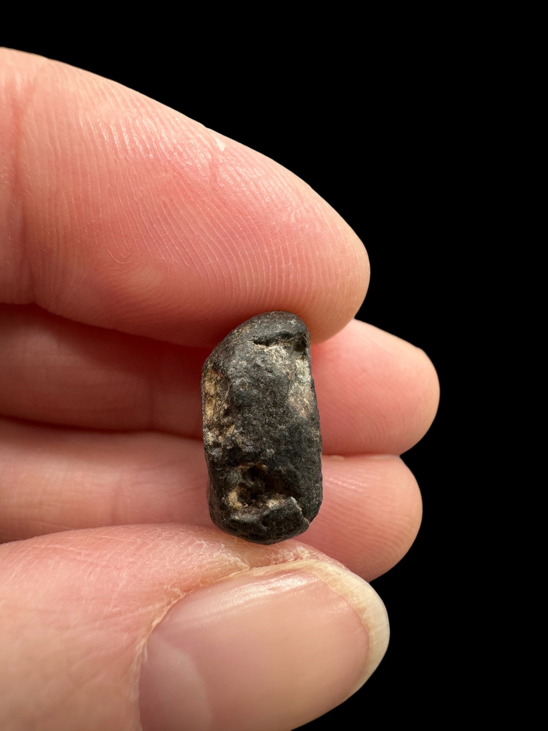 Meteorite NWA 869 – 2,4g – Northwest Africa - MENW56