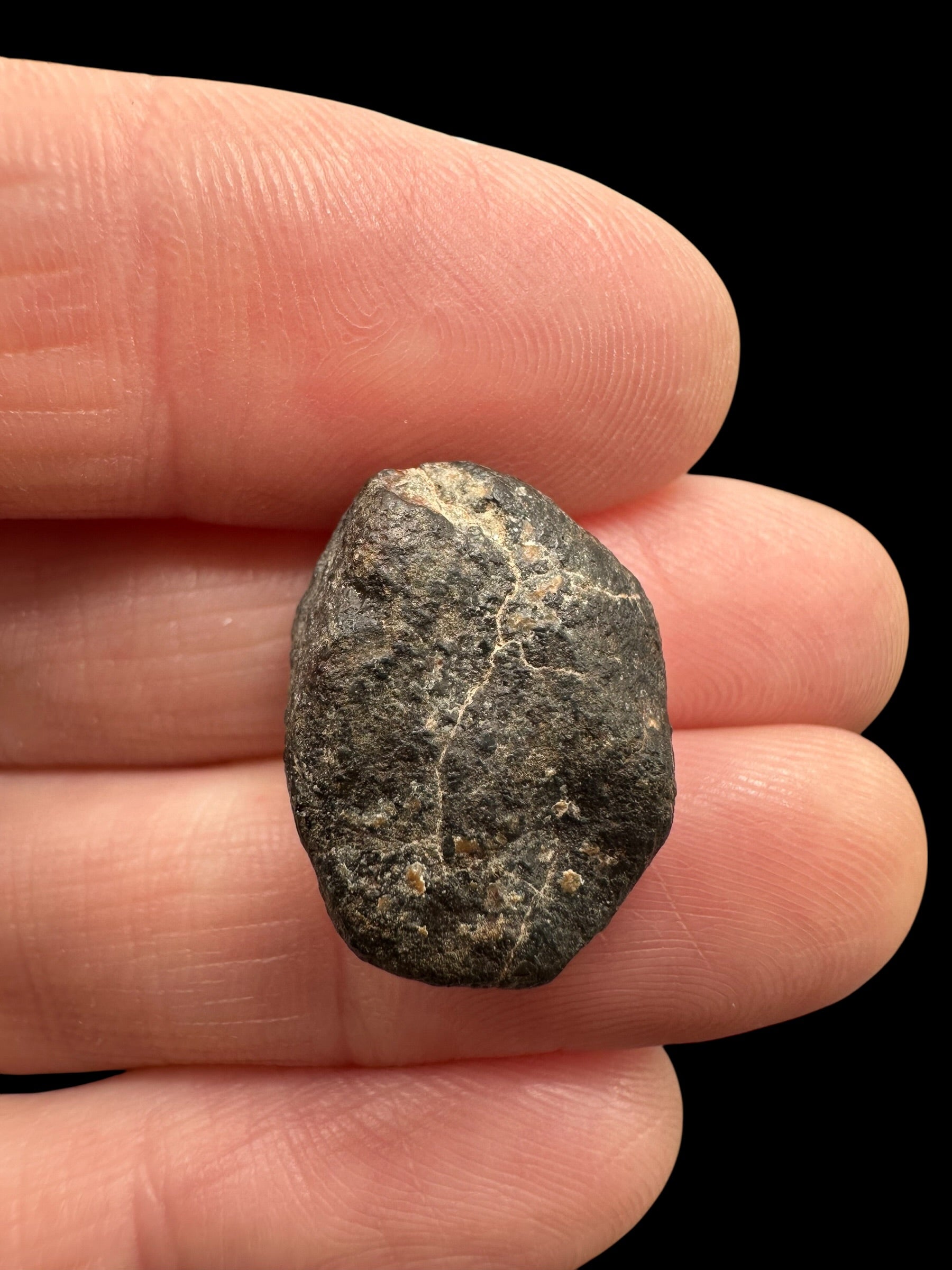 Meteorite NWA 869 – 3,5g – Northwest Africa - MENW57