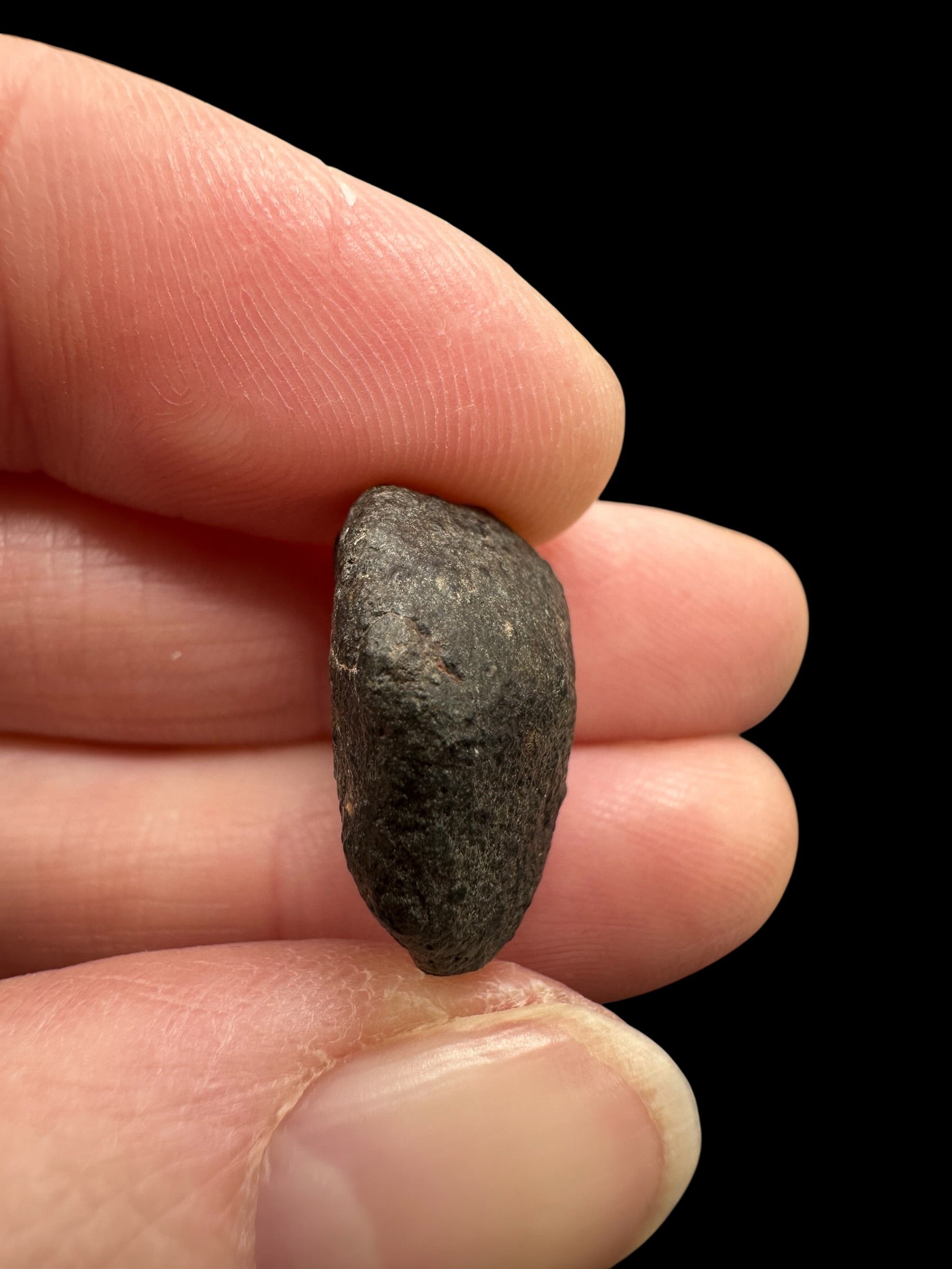 Meteorite NWA 869 – 3,5g – Northwest Africa - MENW57
