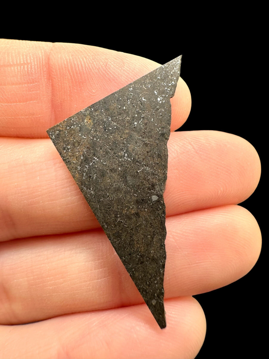 Fetta levigata di meteorite Bensour, condrite ordinaria LL6 dal Marocco