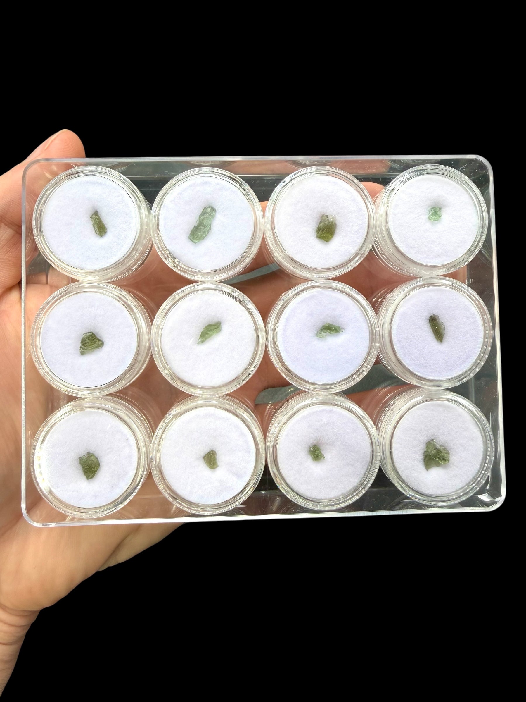 Moldavites in a box, 12 pieces (random piece)