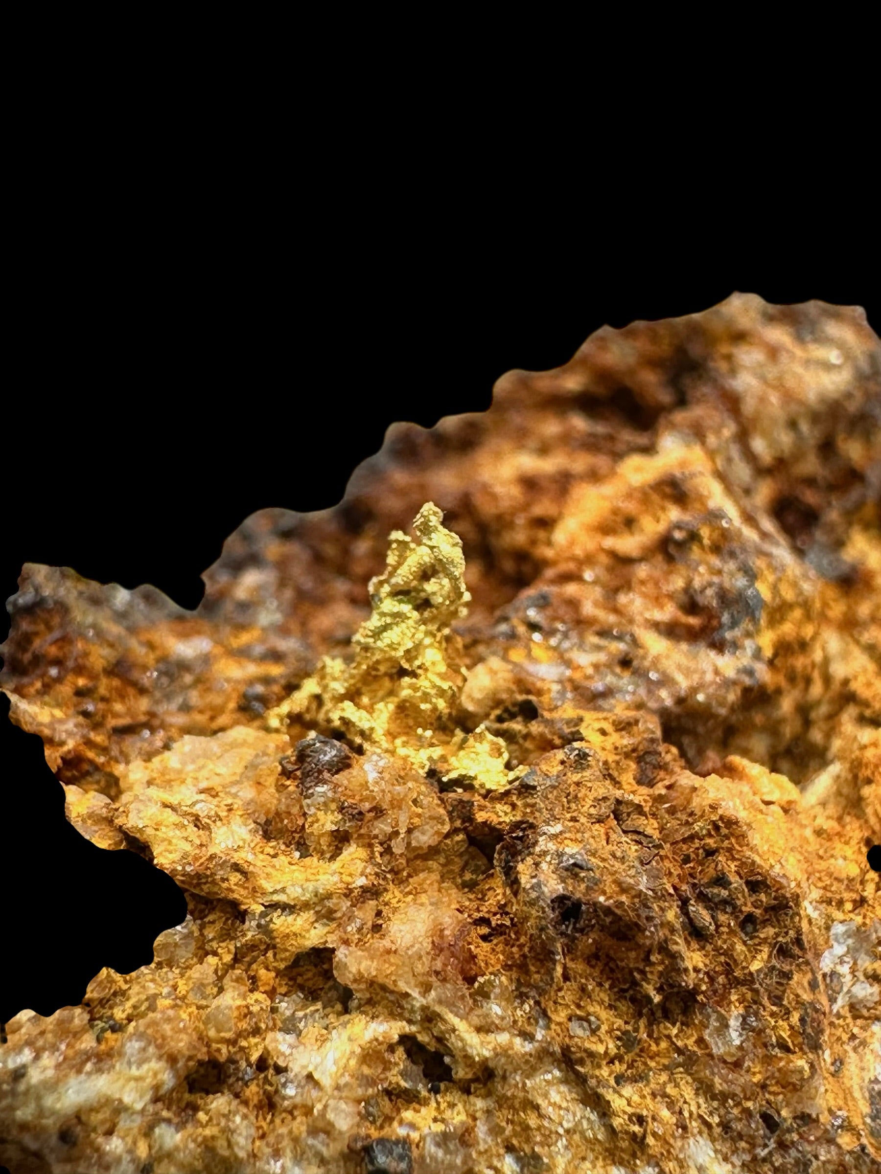 Gold – Zlate hory, CZ - ZL189