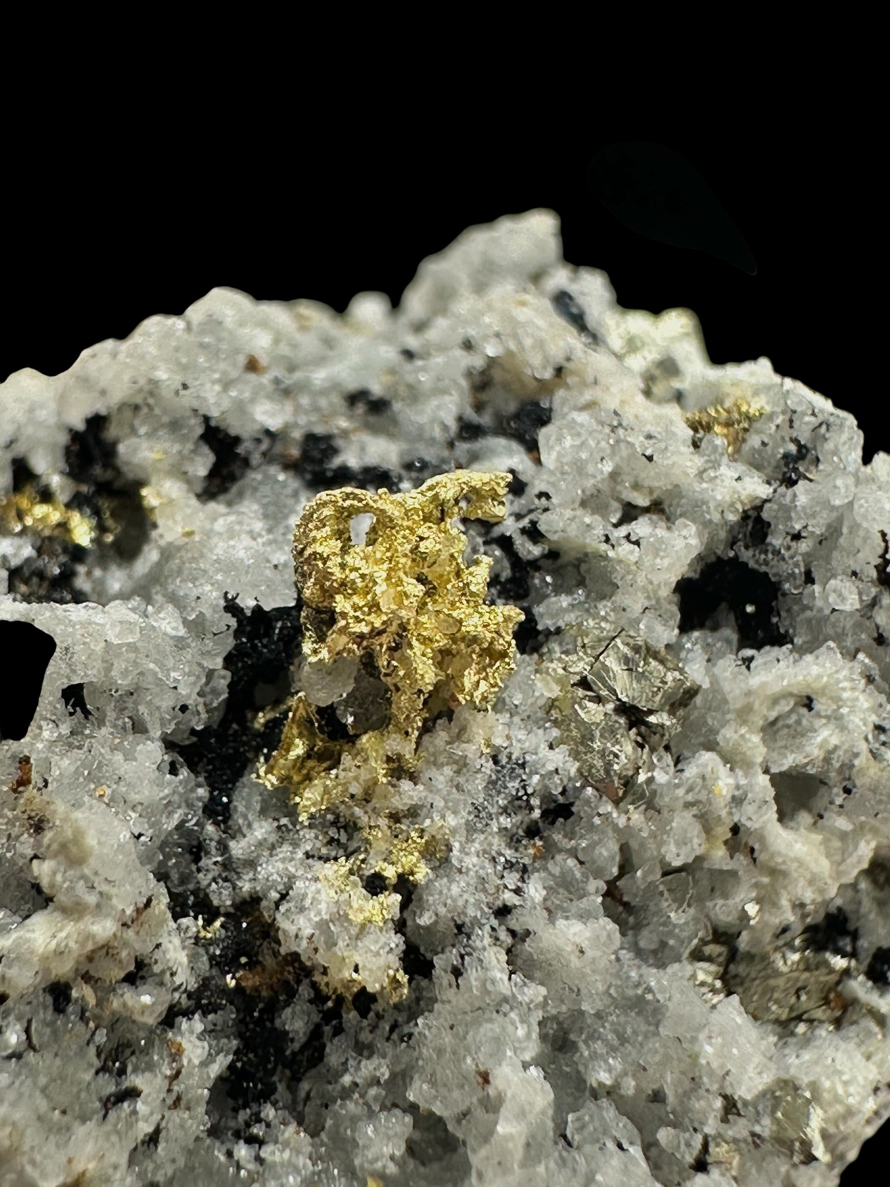 Gold – Zlate hory, CZ - ZL190