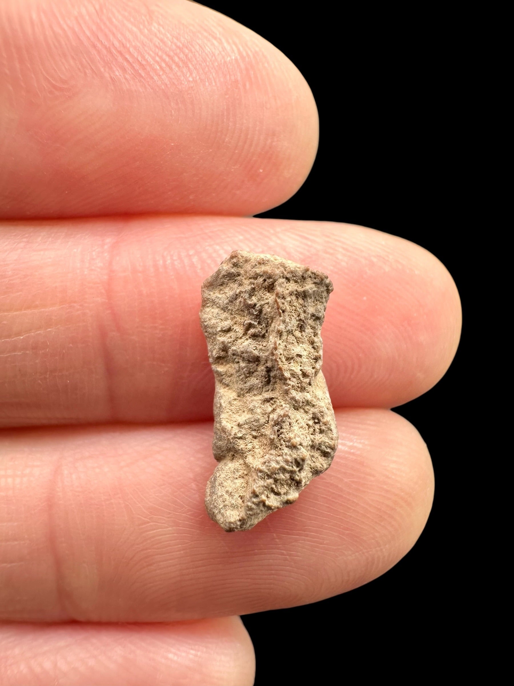 Lunar meteorite Bechar 007 – 0,5g – Algeria - MEBA114