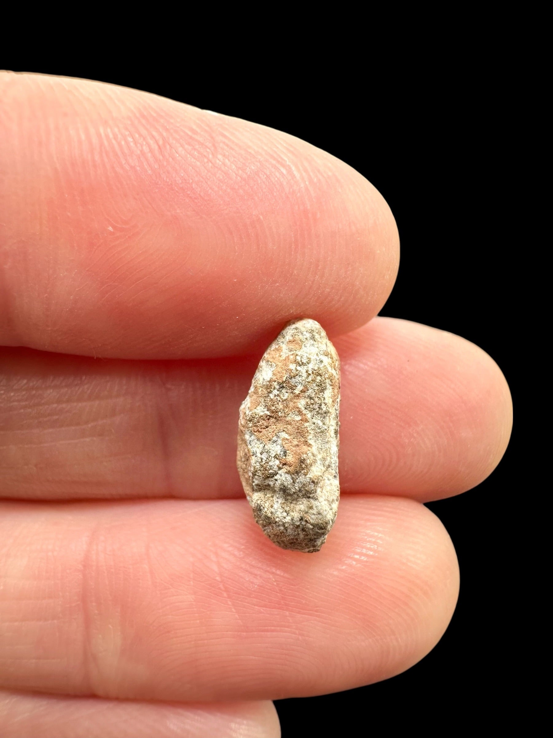 Lunar meteorite Bechar 007 – 0,6g – Algeria - MEBA116