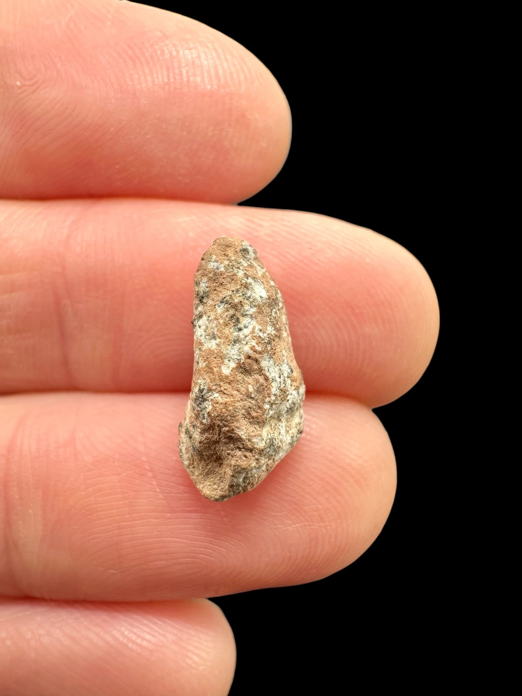 Lunar meteorite Bechar 007 – 0,6g – Algeria