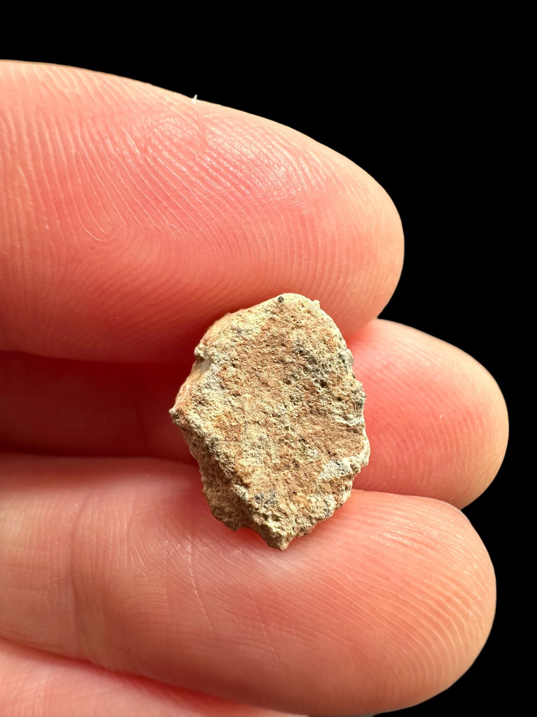 Lunar meteorite Bechar 007 – 0,9g – Algeria - MEBA119