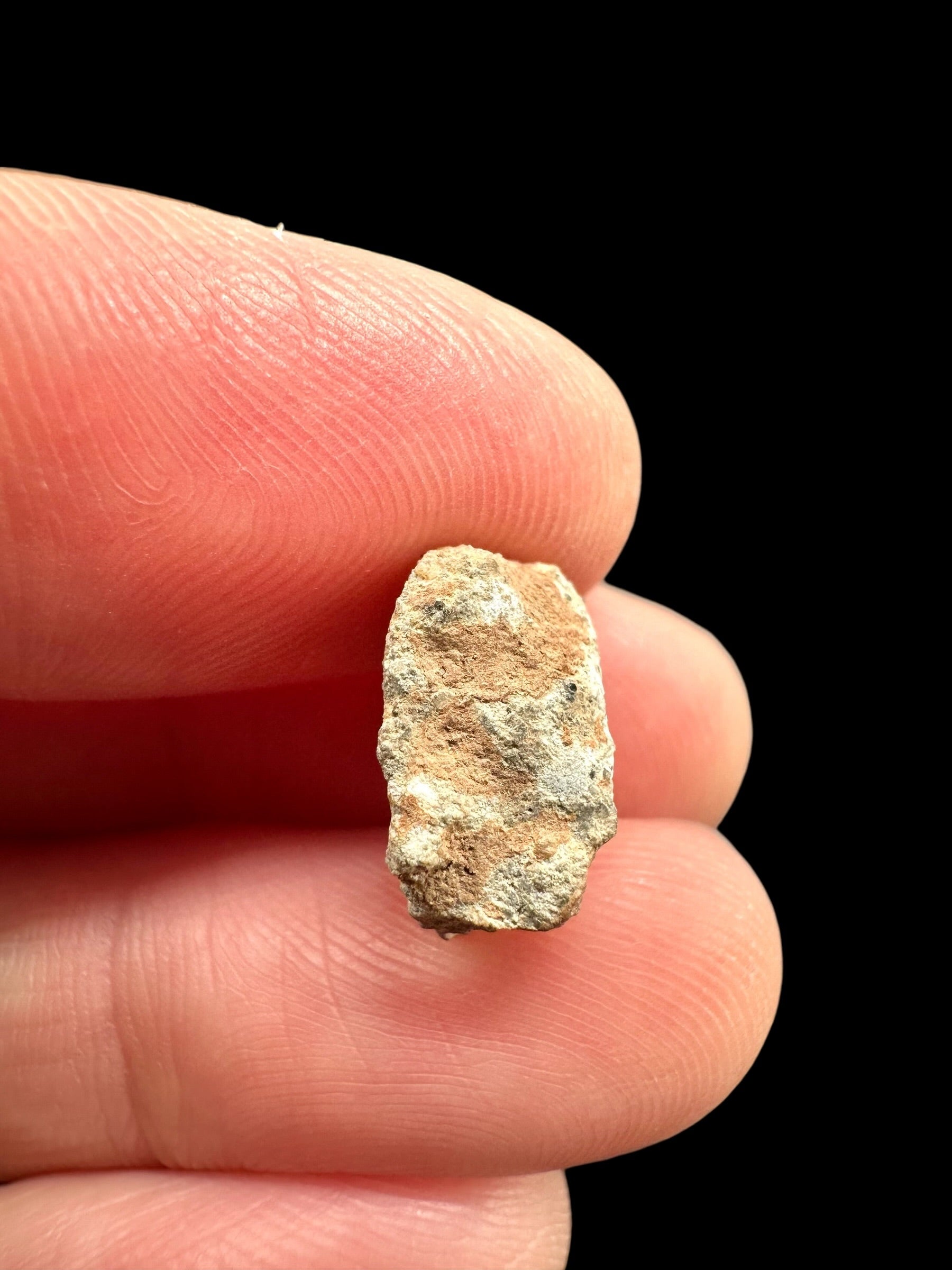 Lunar meteorite Bechar 007 – 0,9g – Algeria - MEBA119