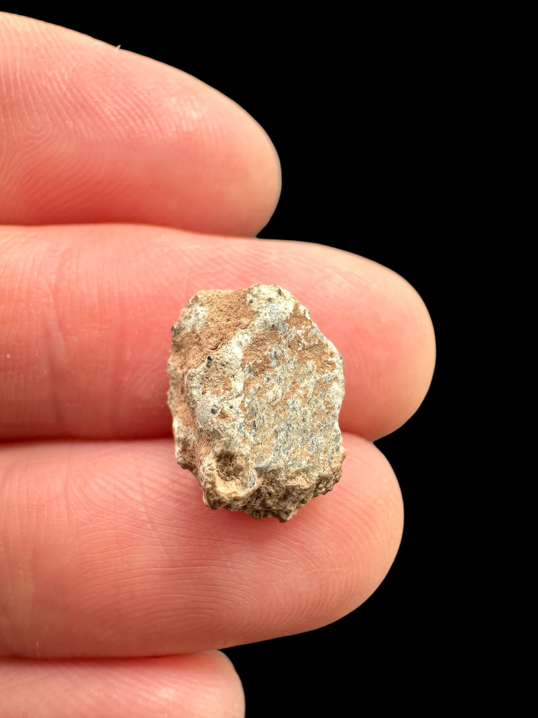 Lunar meteorite Bechar 007 – 0,9g – Algeria